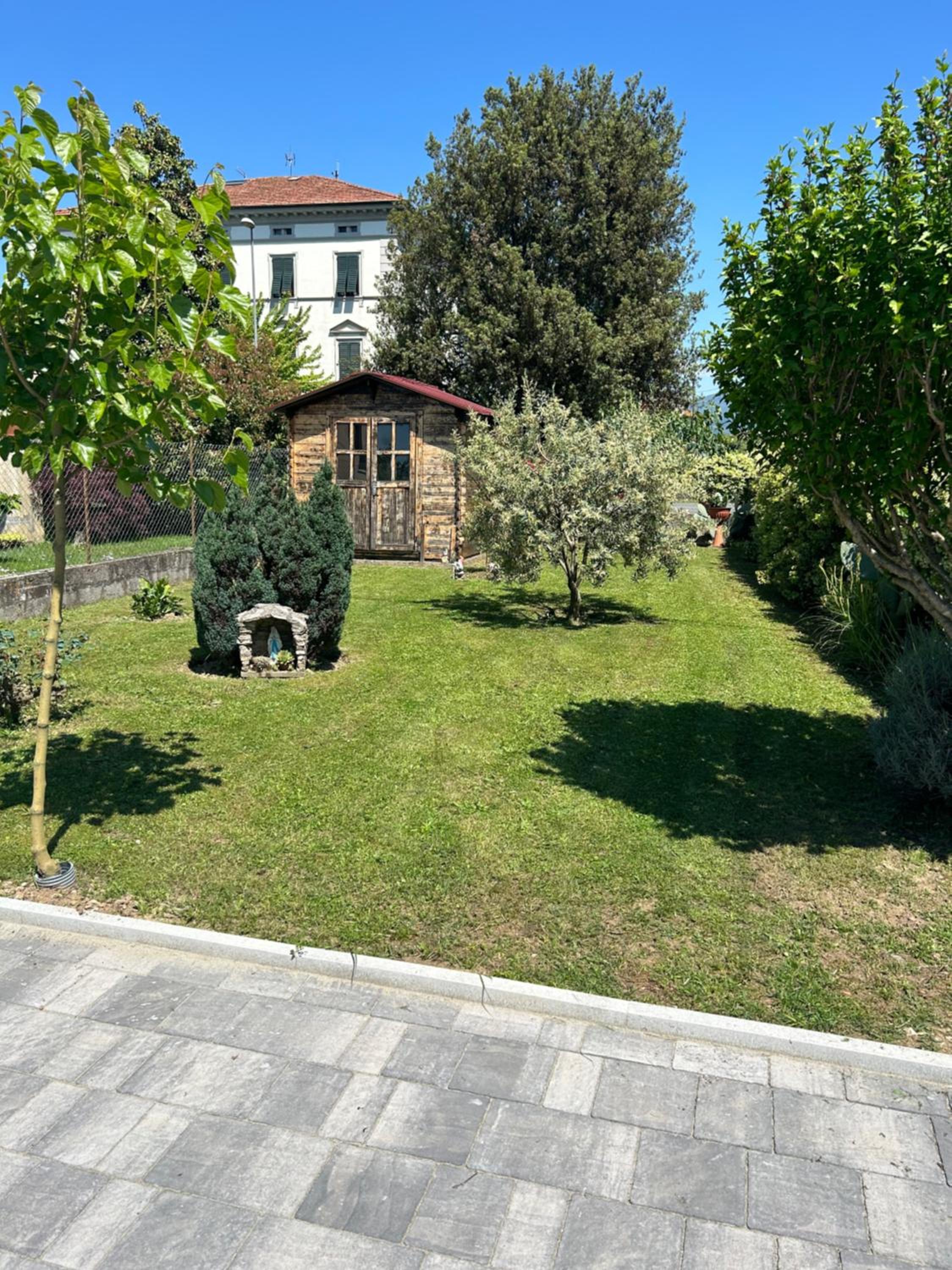 Photo 11
