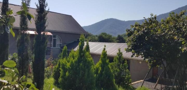 CAR Mountain House