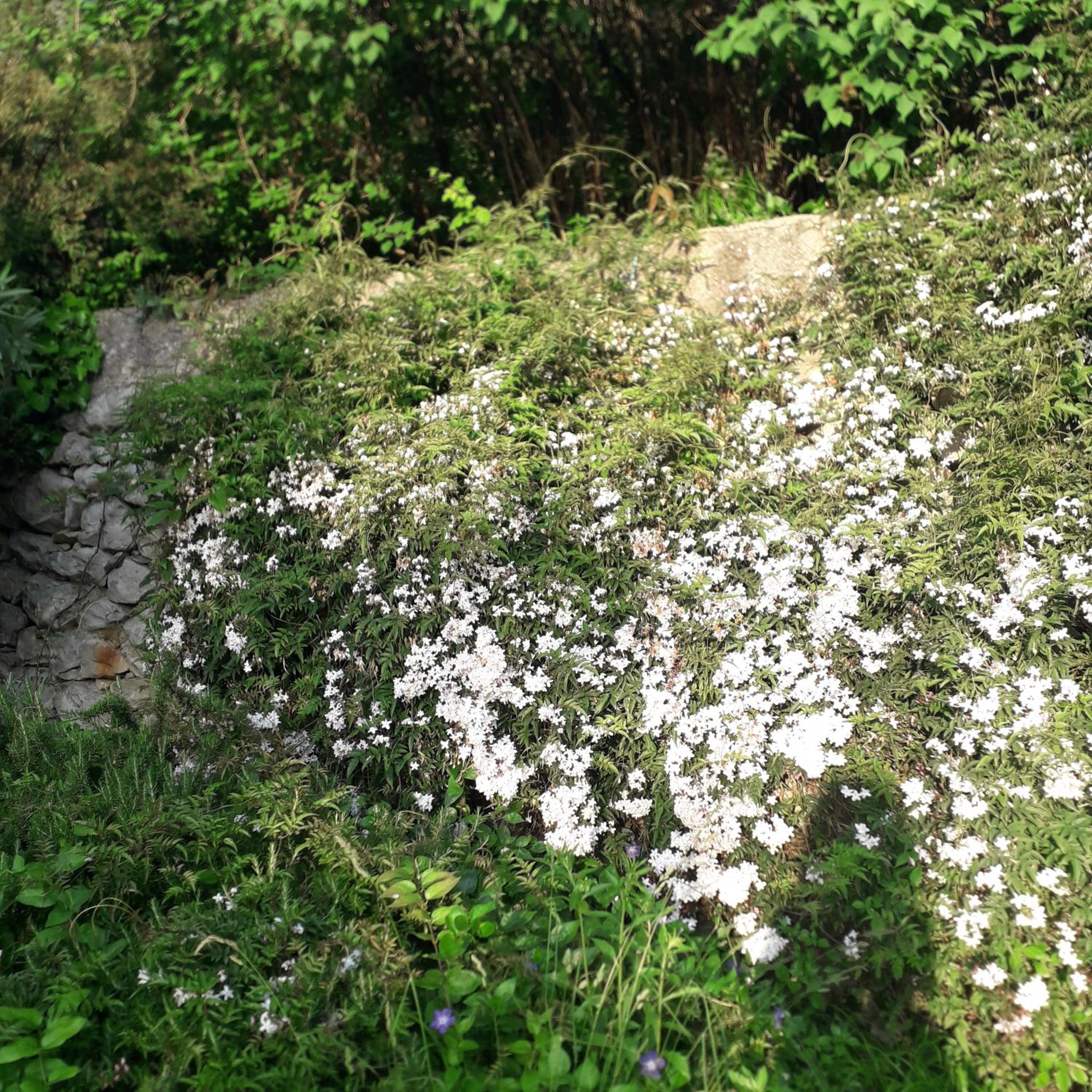 Photo 30