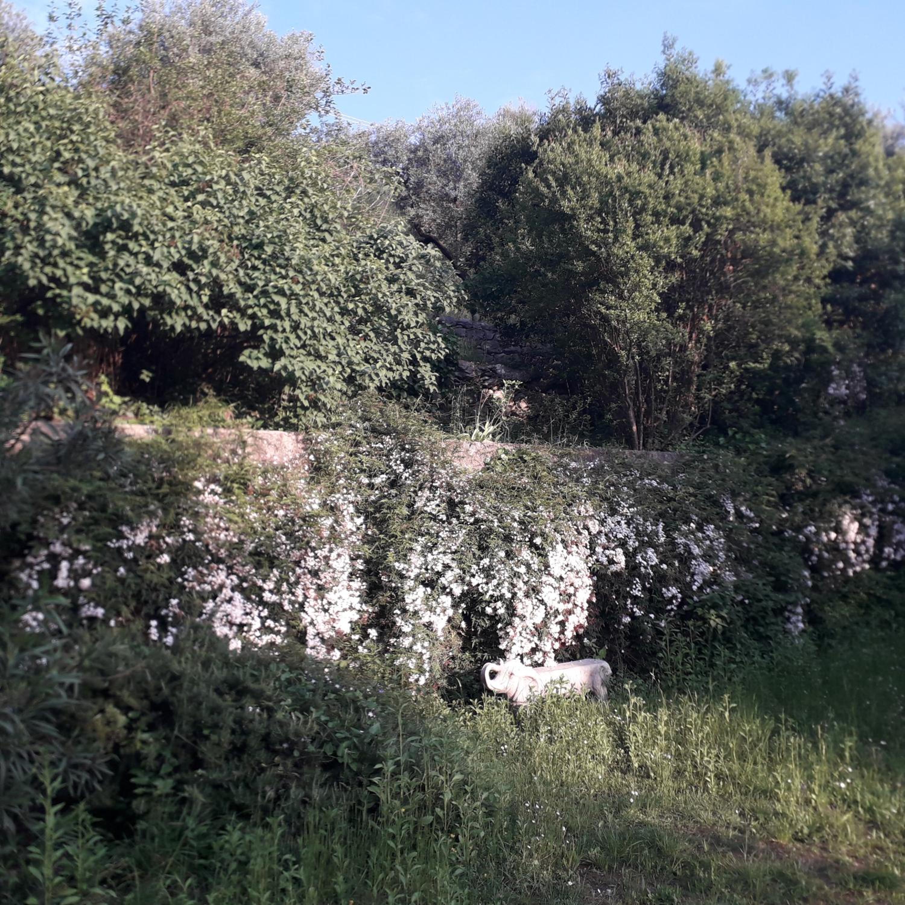 Photo 32