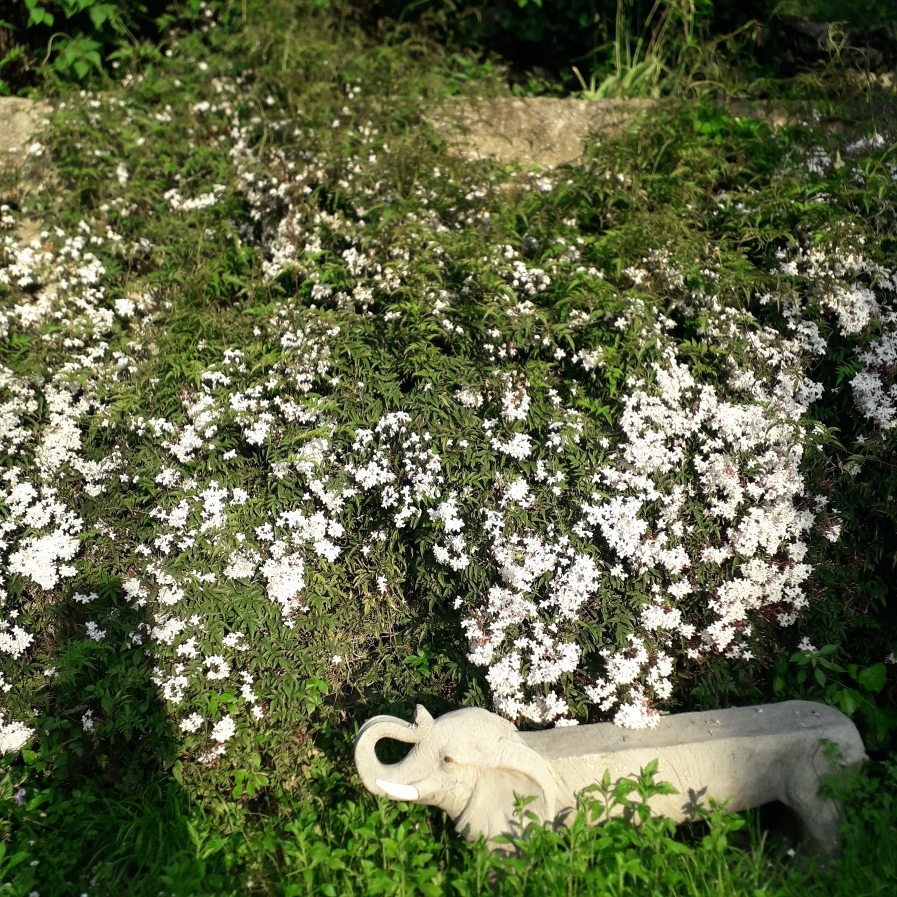 Photo 31
