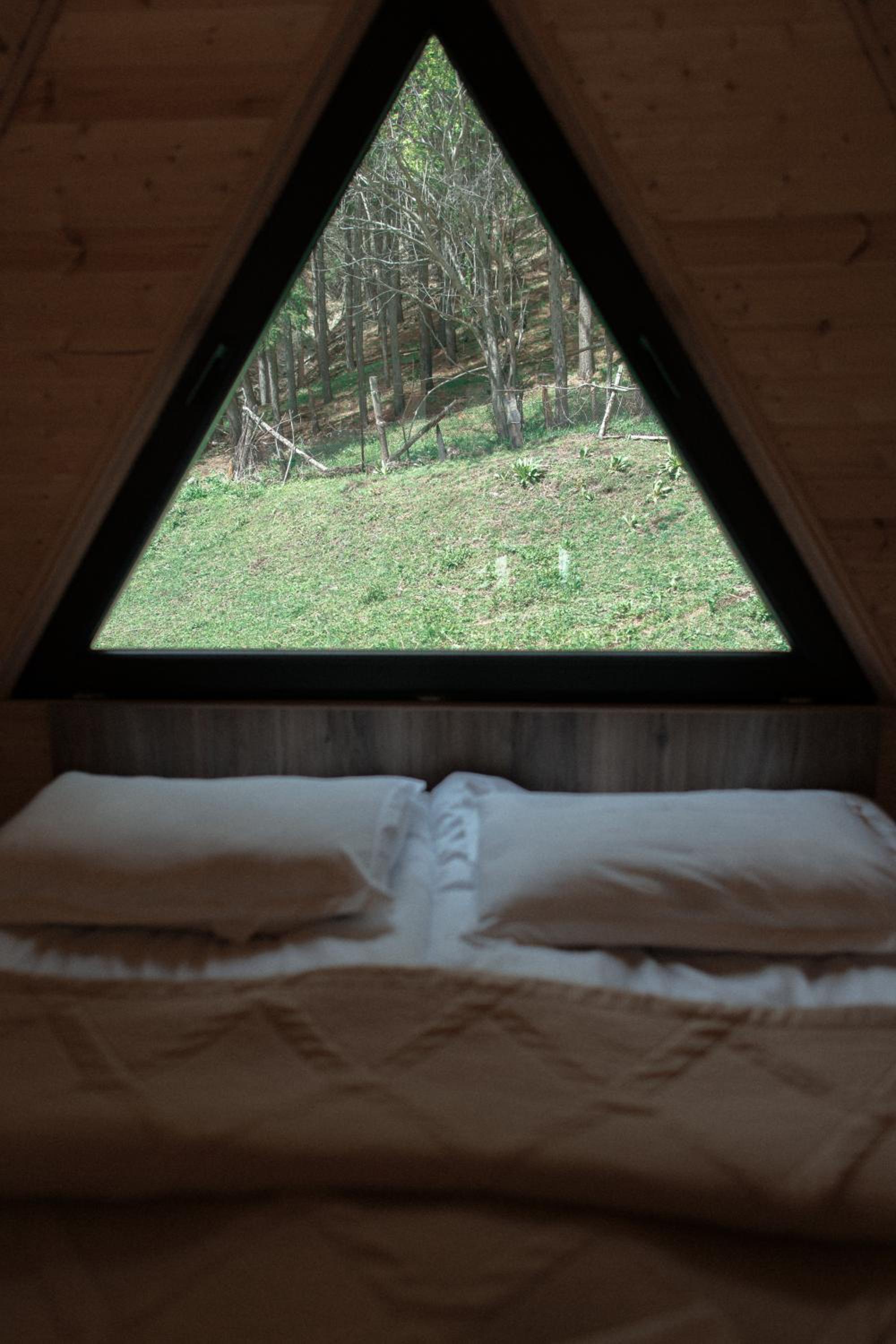 Sno Woodland