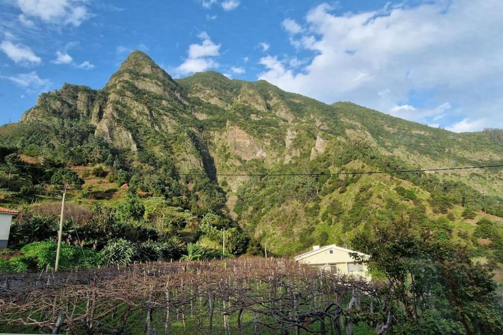 Bungalow in natural paradise view 5