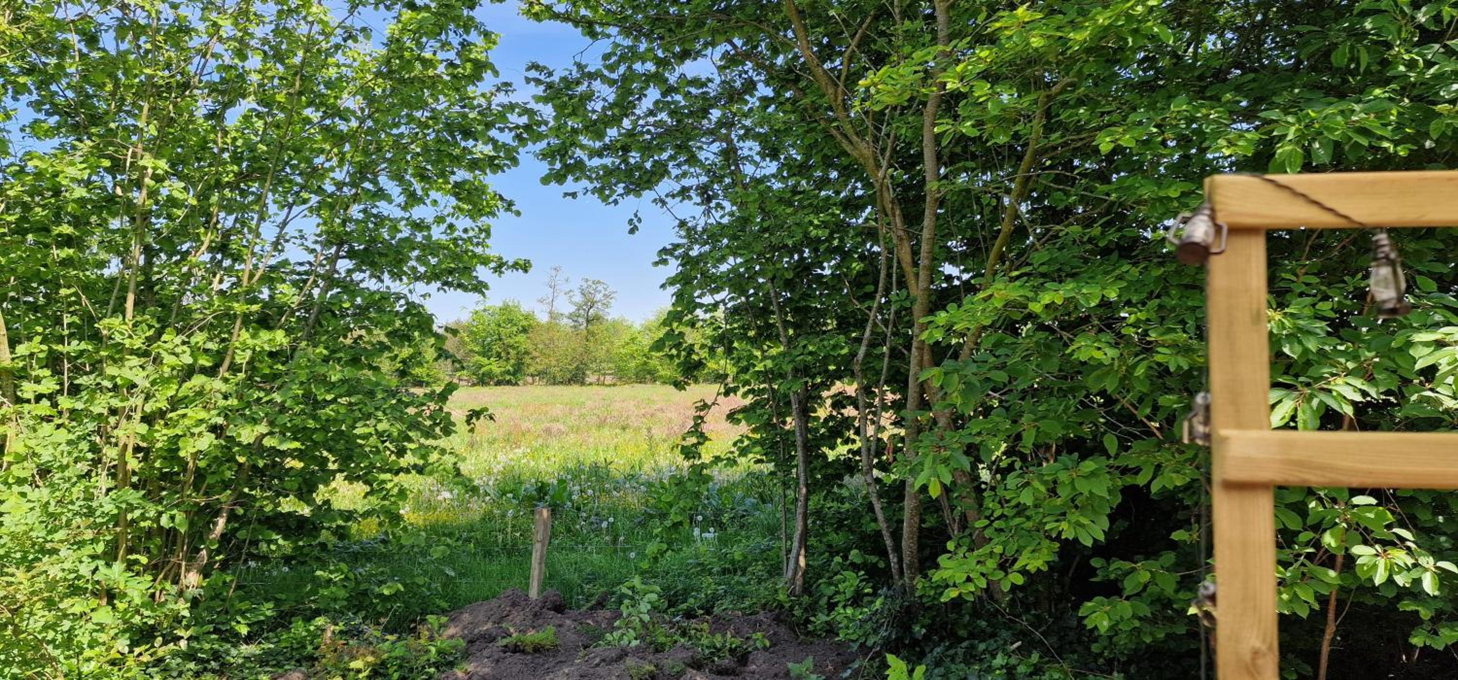 Whispering O - B&B Ermelo Speuld On the Veluwe view 3