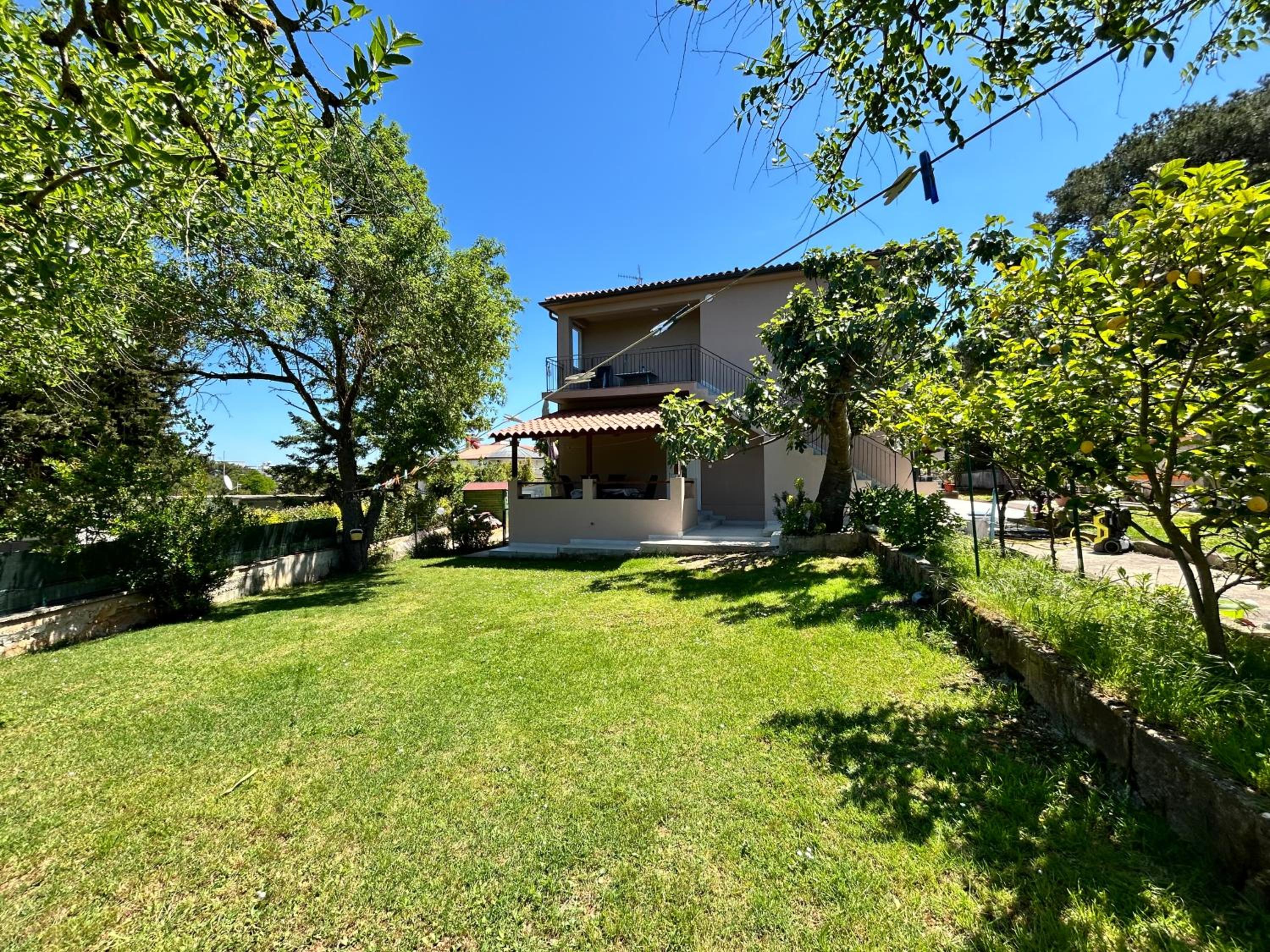 Apartments Branko view 5