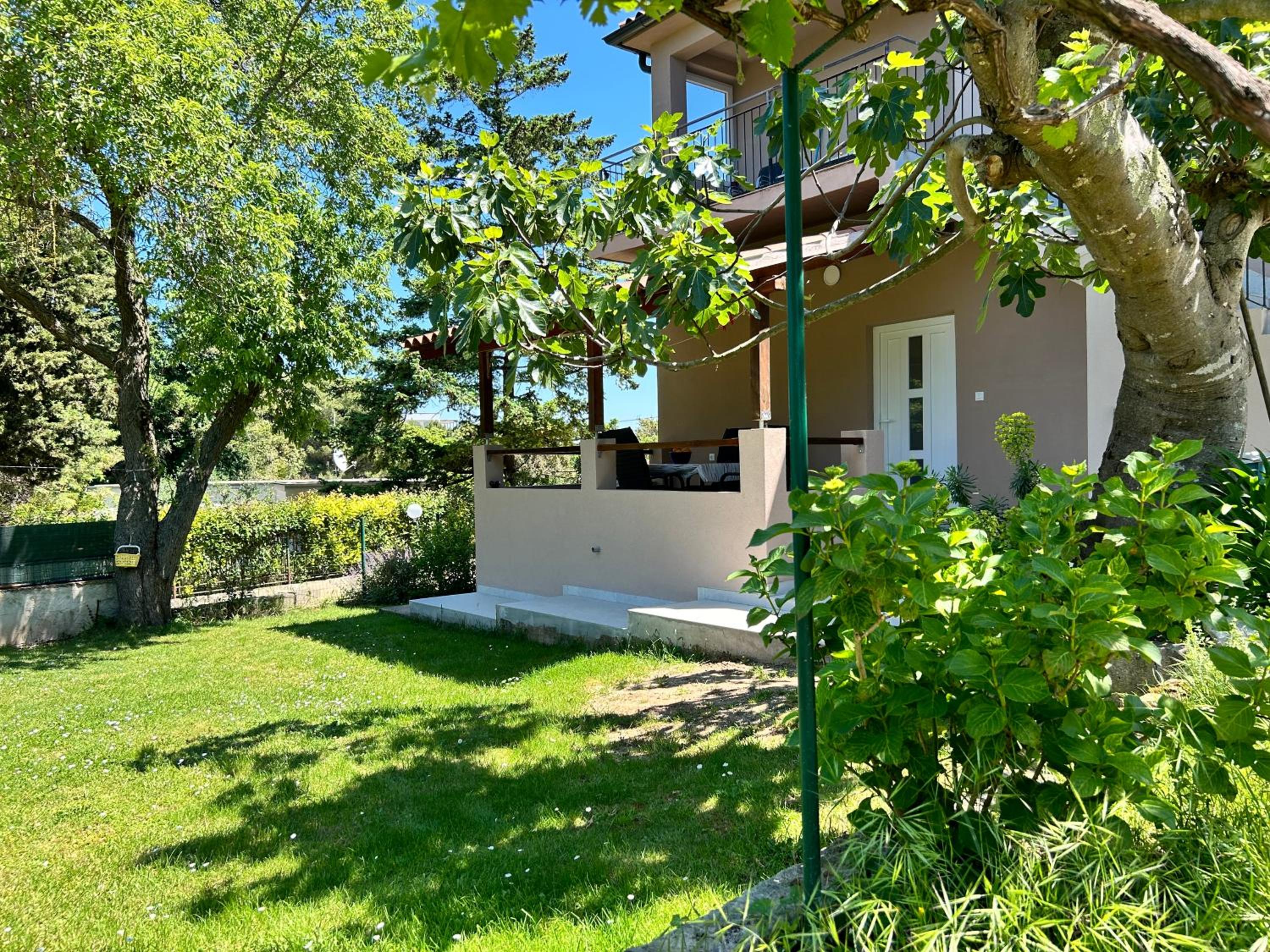 Apartments Branko view 2