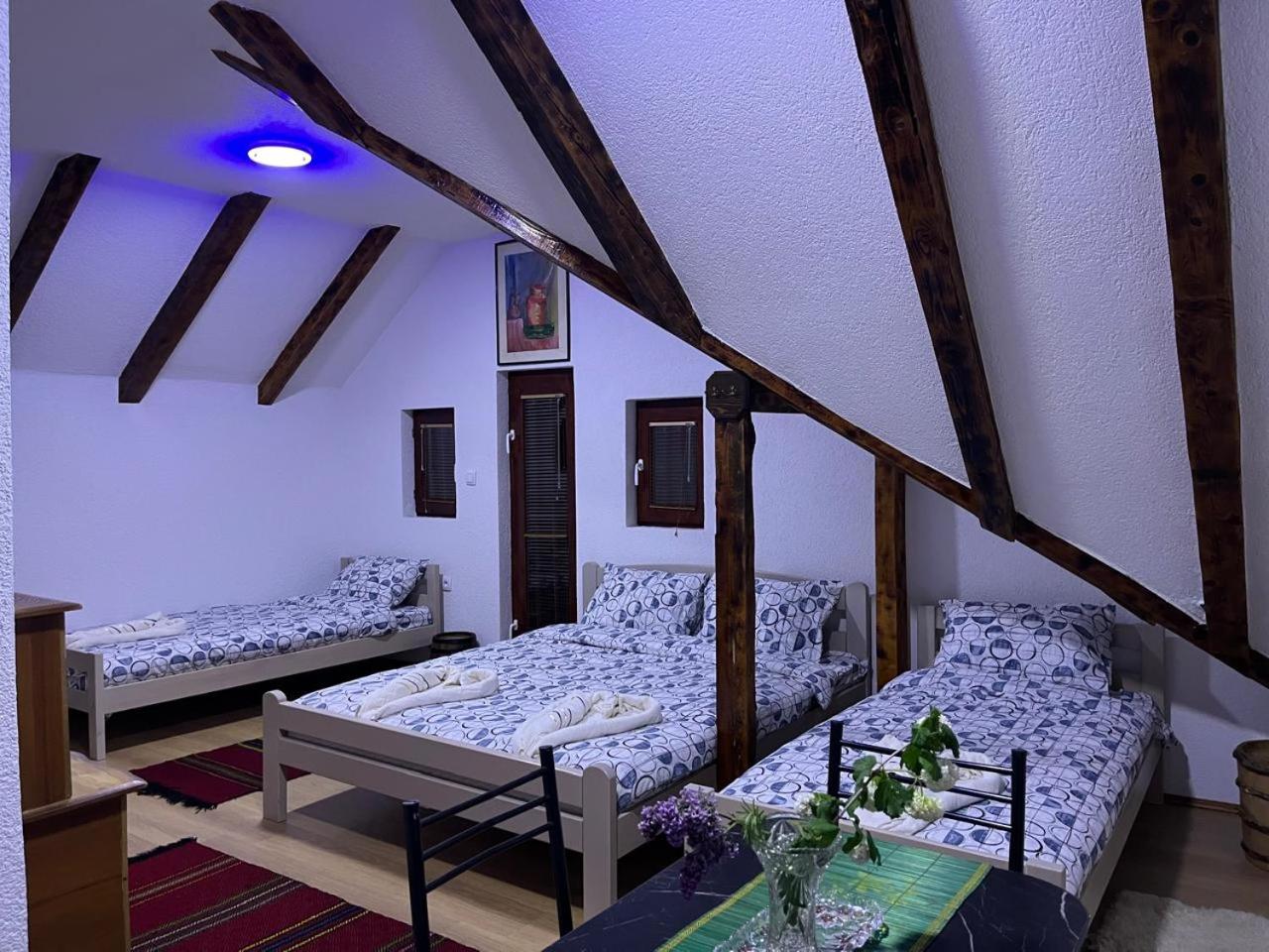 NINA Apartmani