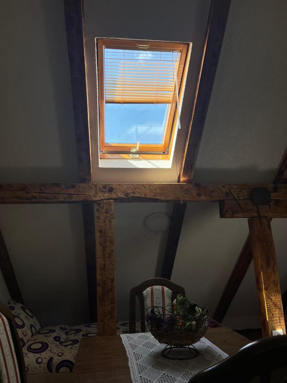 NINA Apartmani
