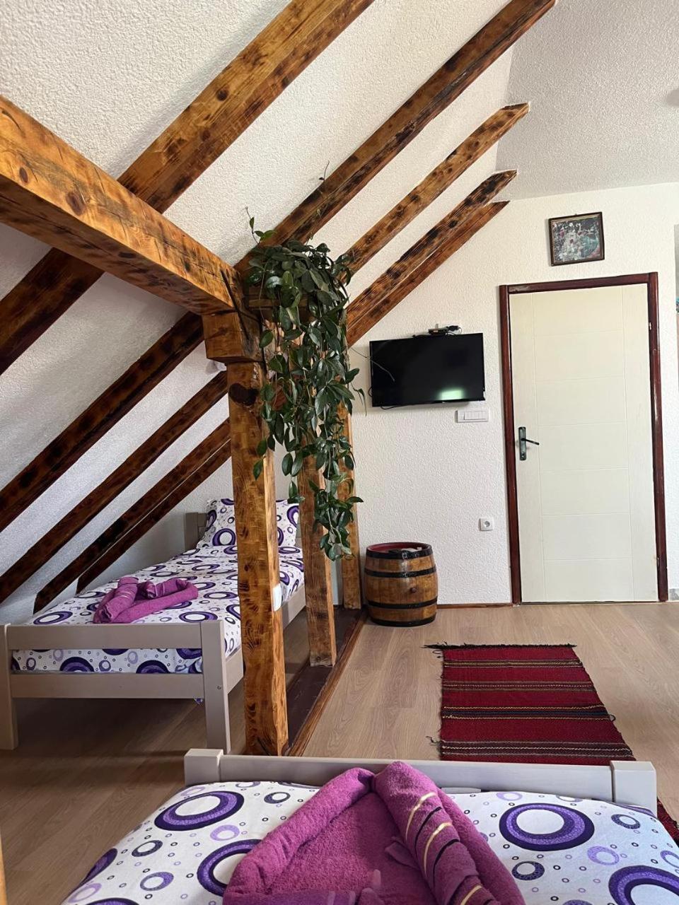NINA Apartmani
