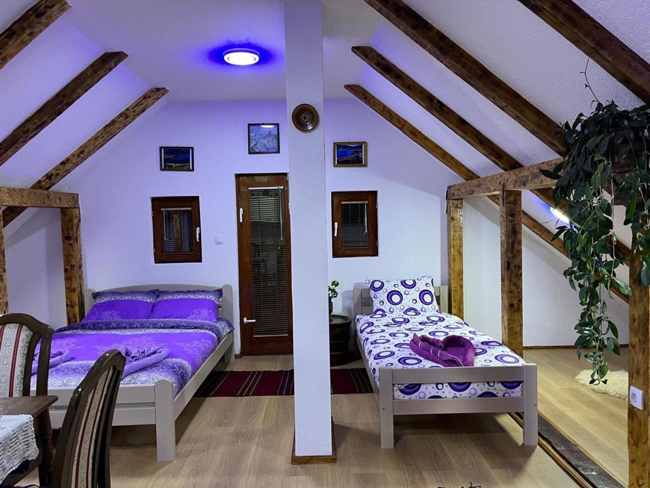 NINA Apartmani