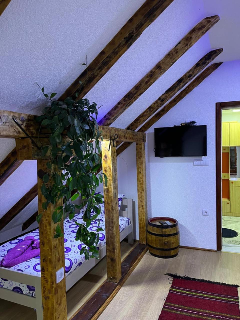 NINA Apartmani