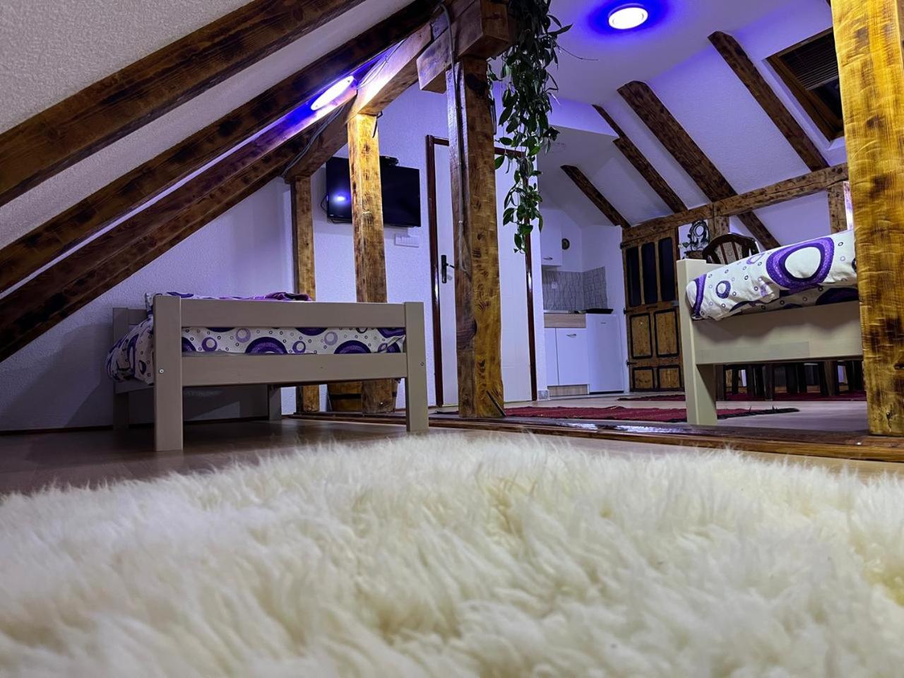 NINA Apartmani