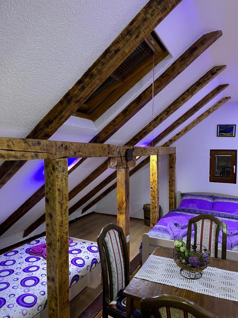 NINA Apartmani