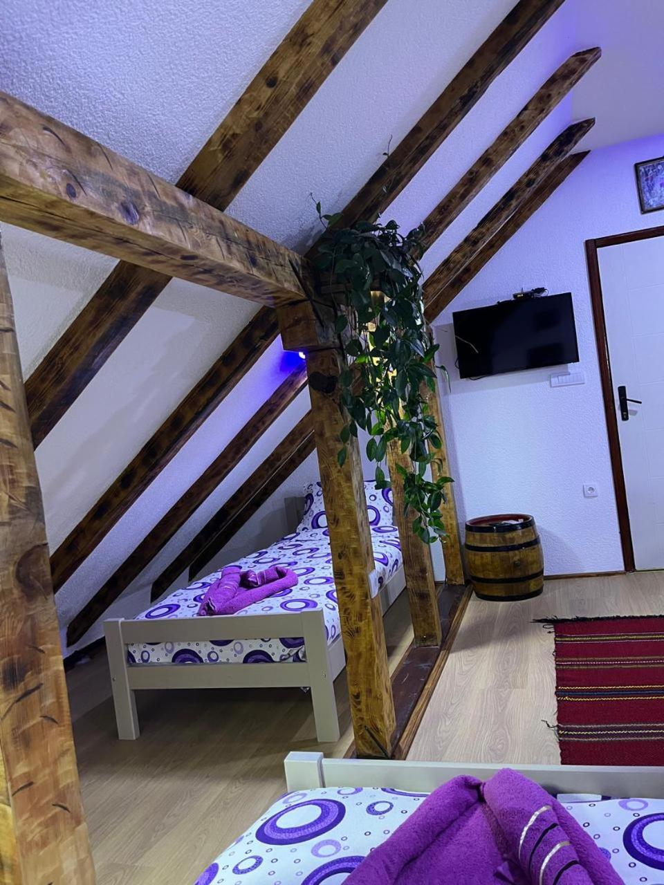 NINA Apartmani