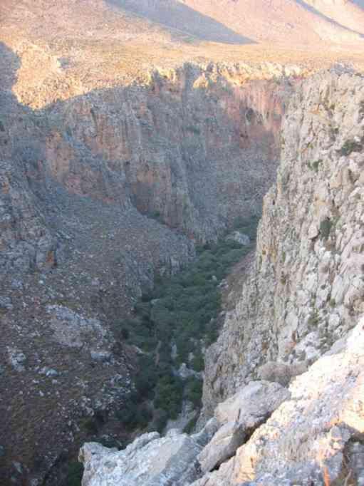 Photo 50
