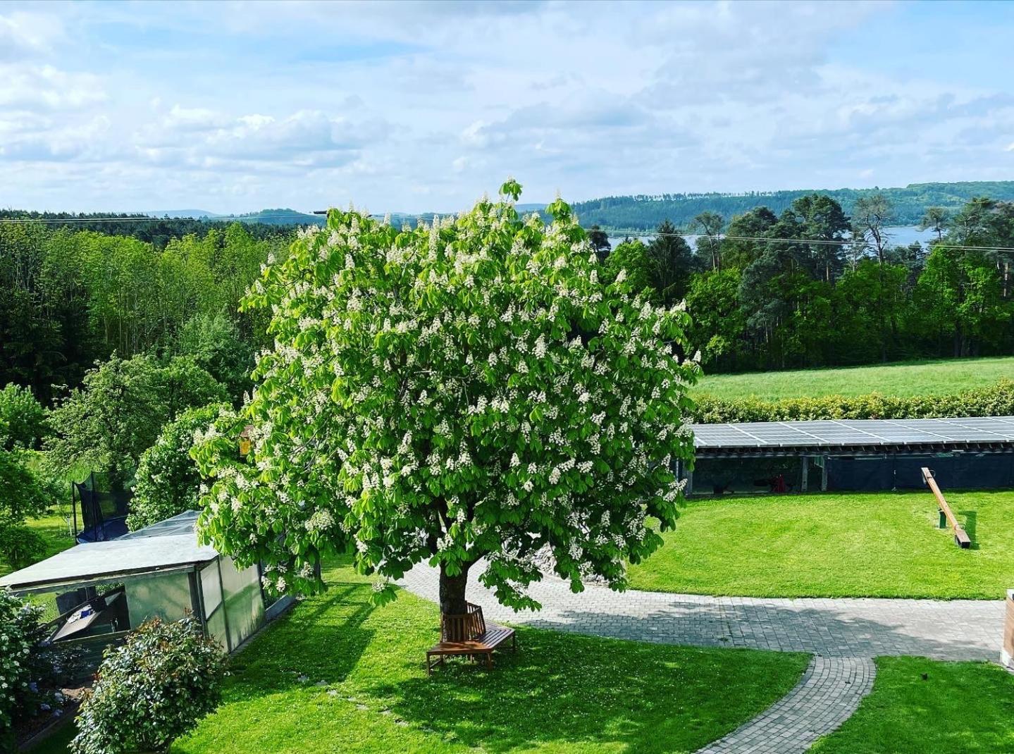 Kastanienhof Selz