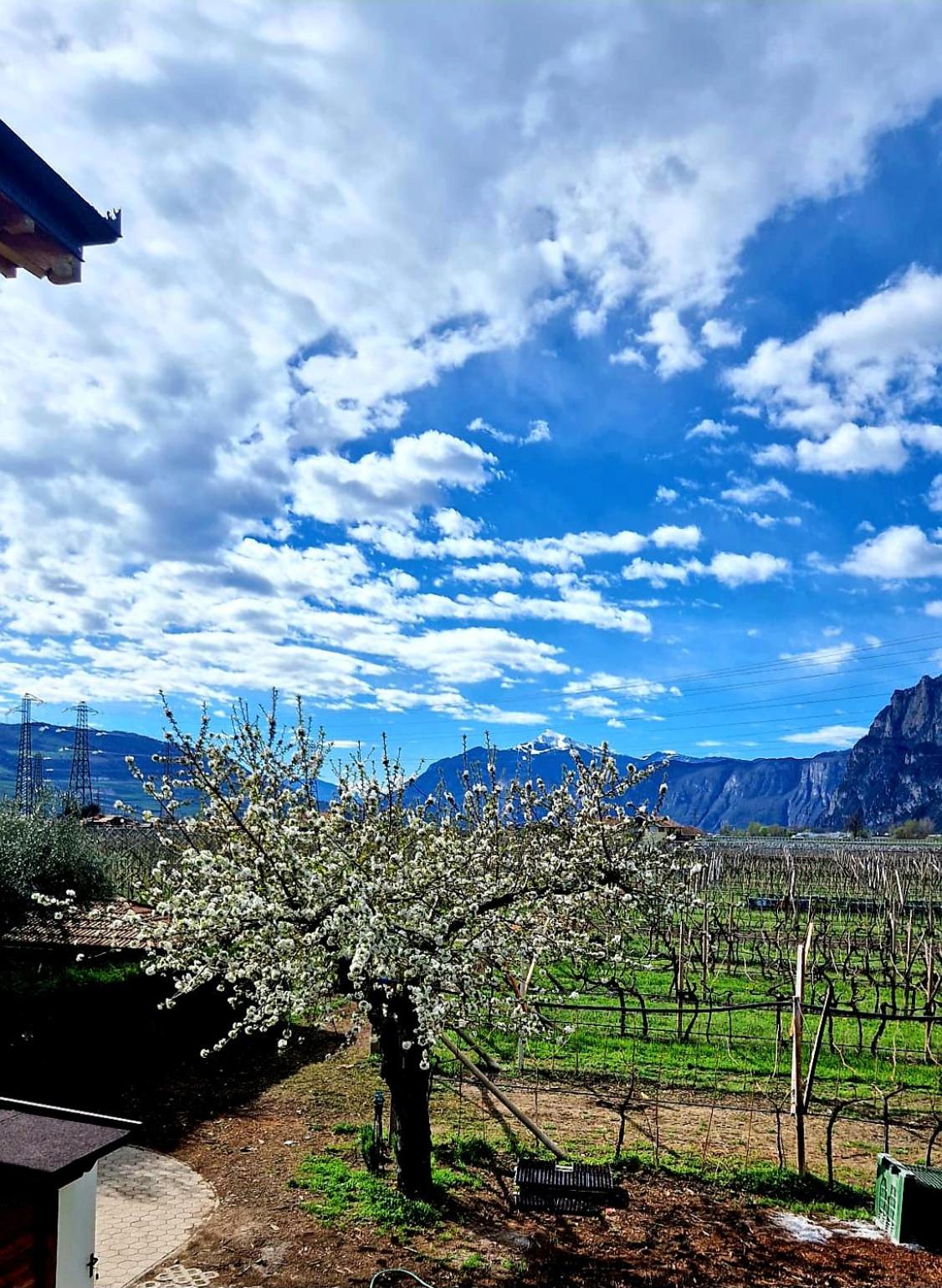 Antico Fienile Agritur