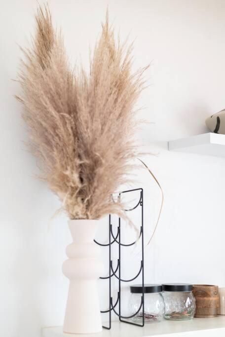 Bohemian, Neutral Studio Close to Promenade