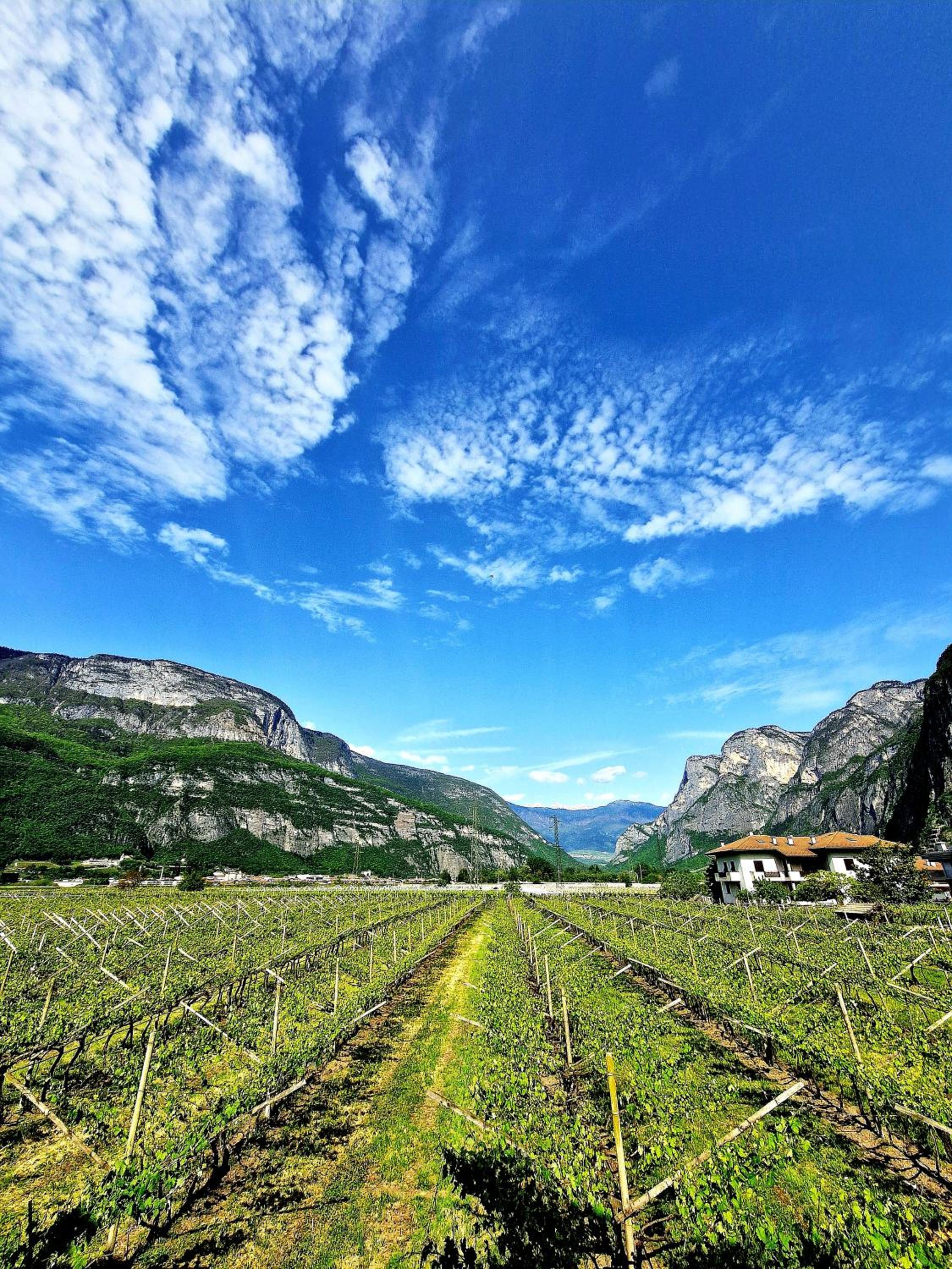 Antico Fienile Agritur