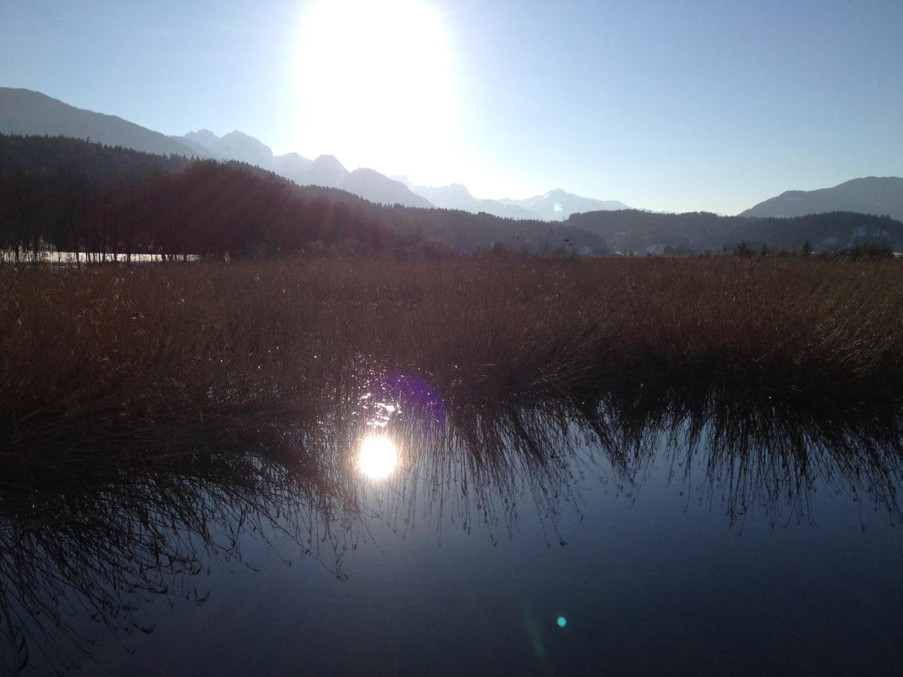 Photo 42