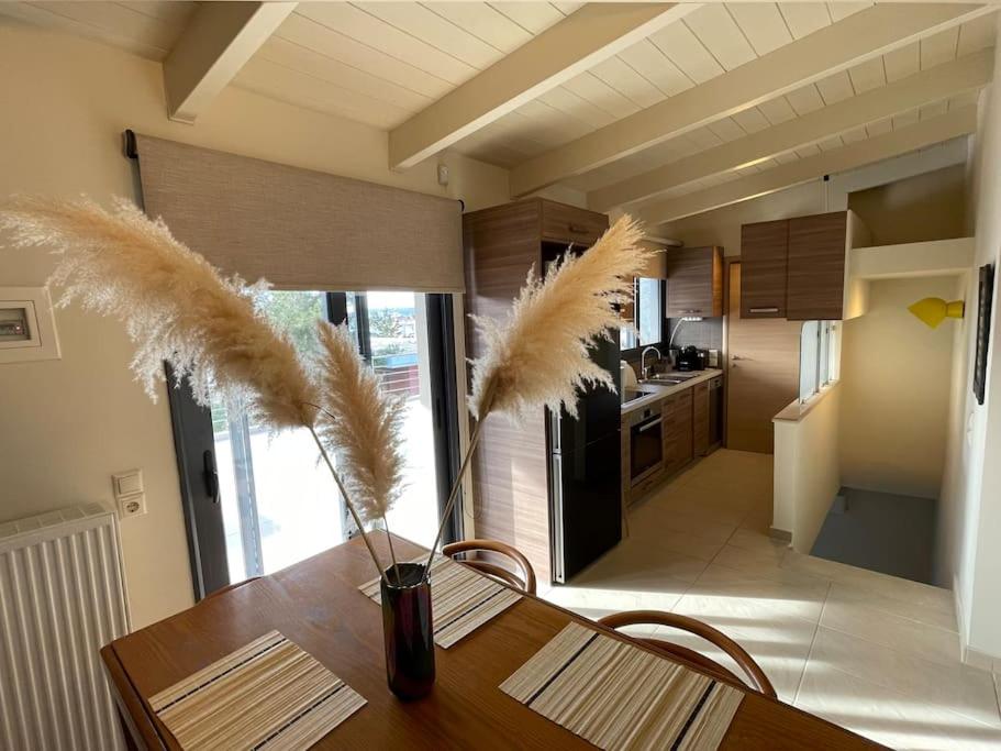 Porto - luxury penthouse, pool, walk to the beach view 2