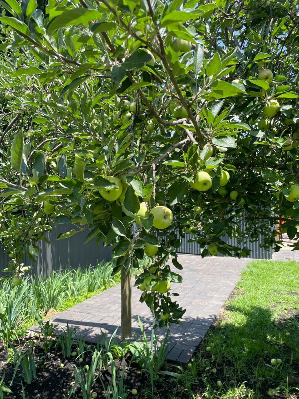 Periwinkle, Grove ,Acorn & Sage Cottages