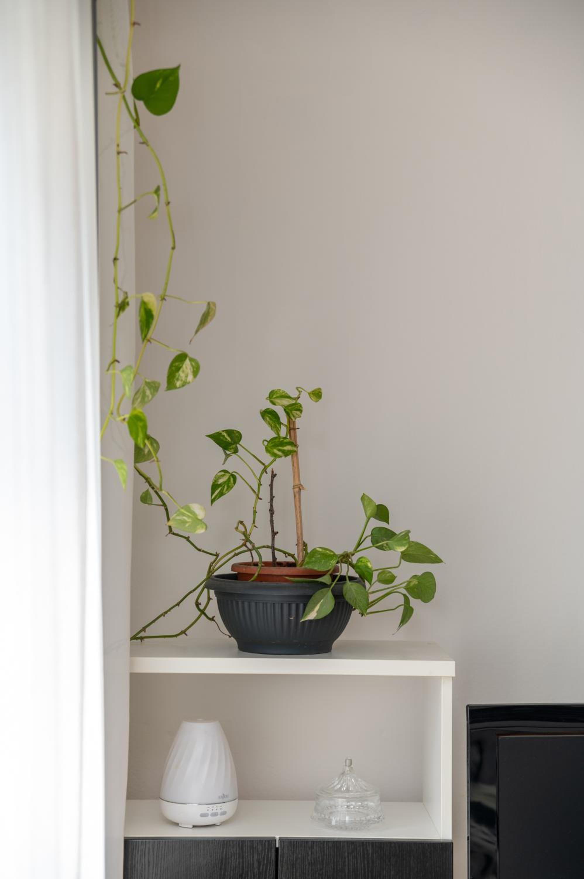 Apartman Milijana