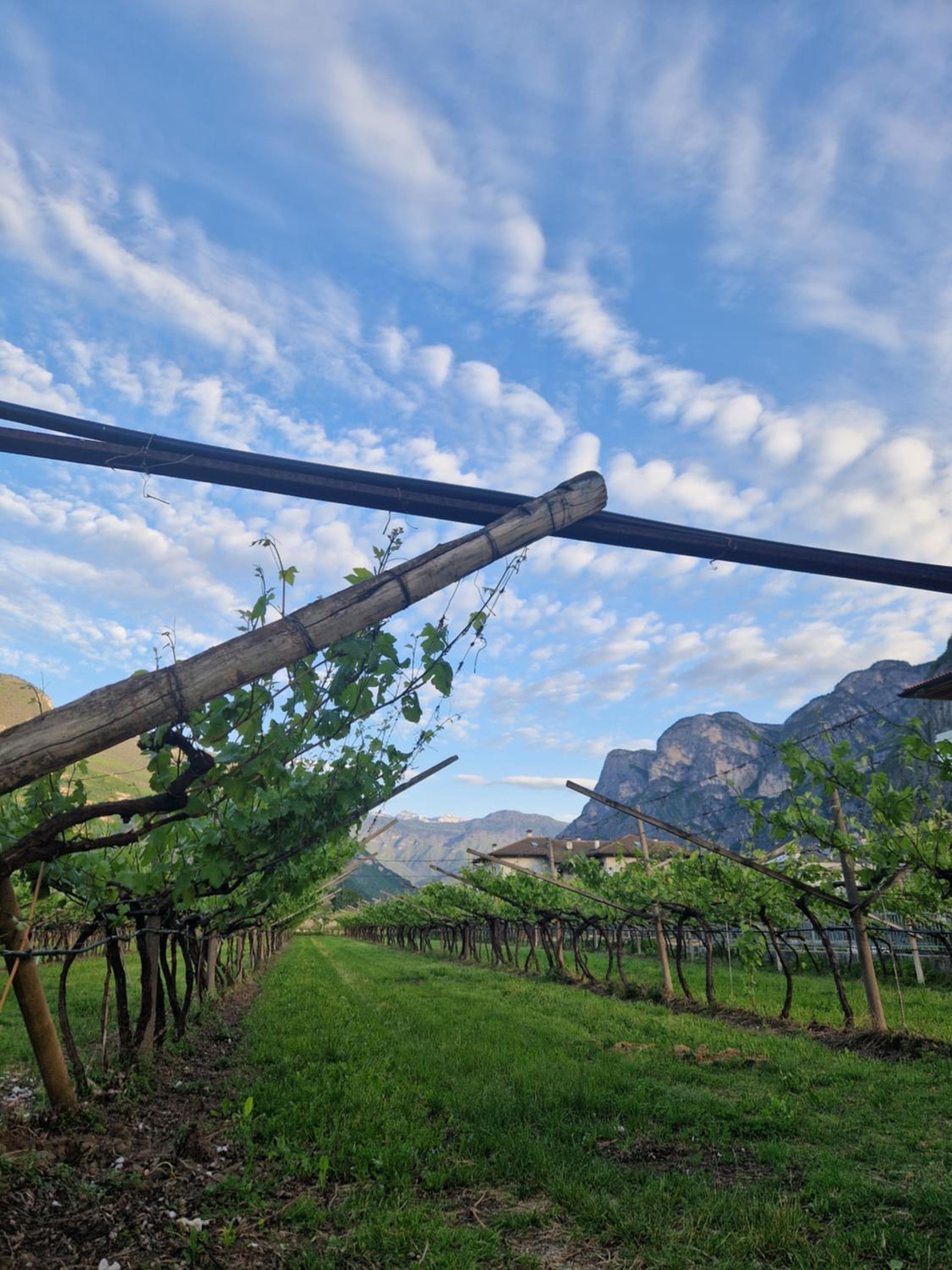 Antico Fienile Agritur