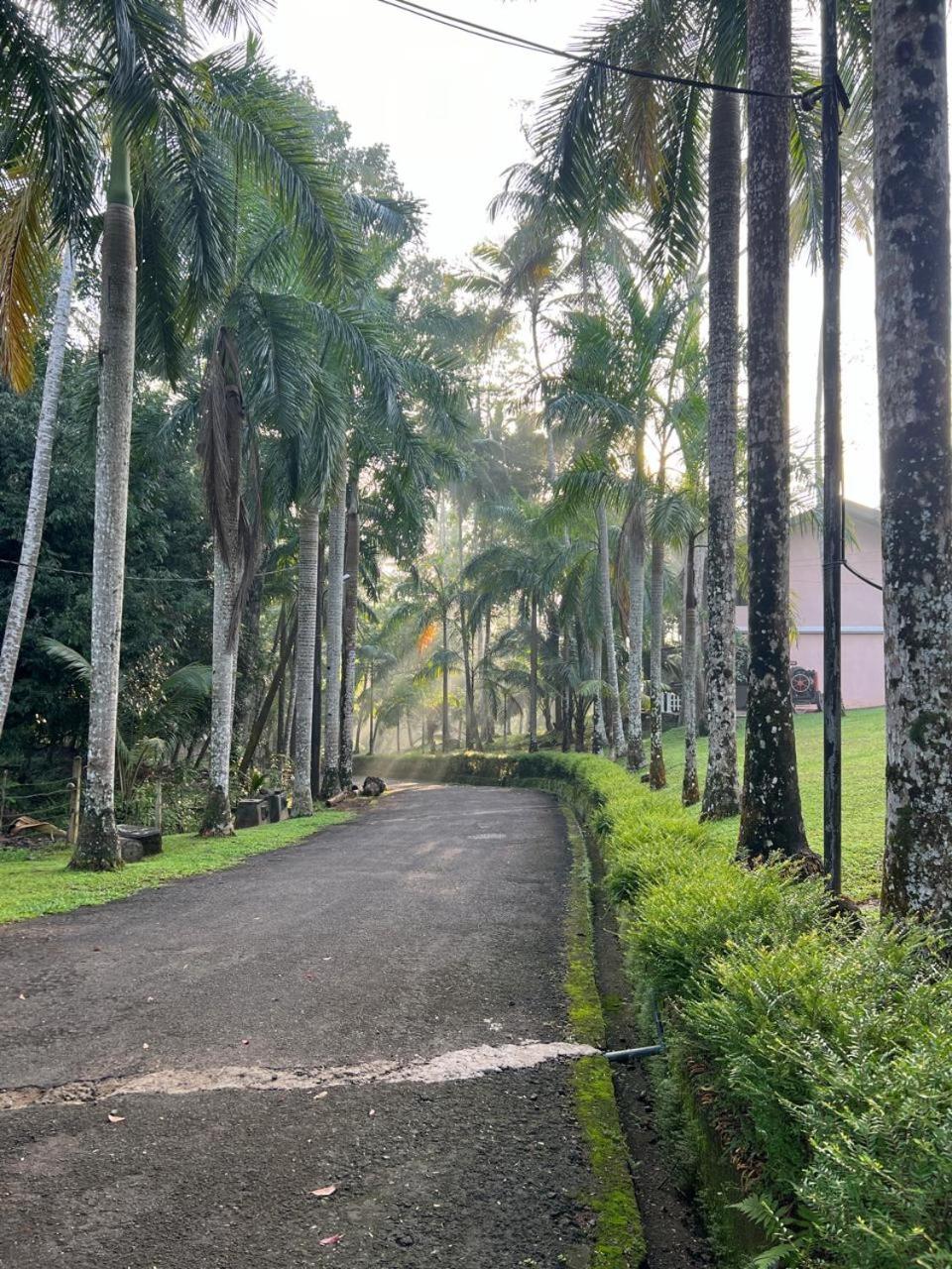 Sankara Resort