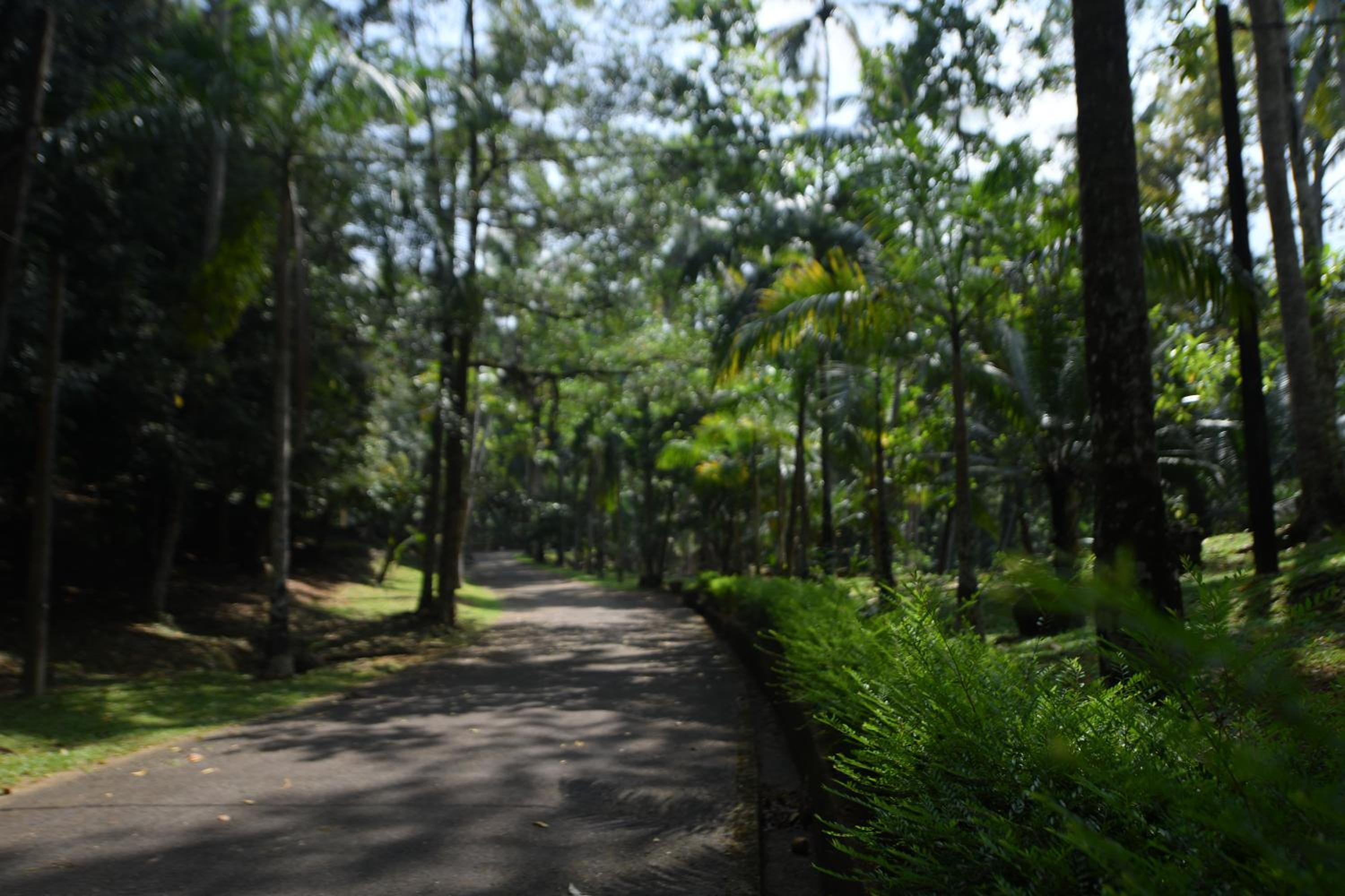 Sankara Resort