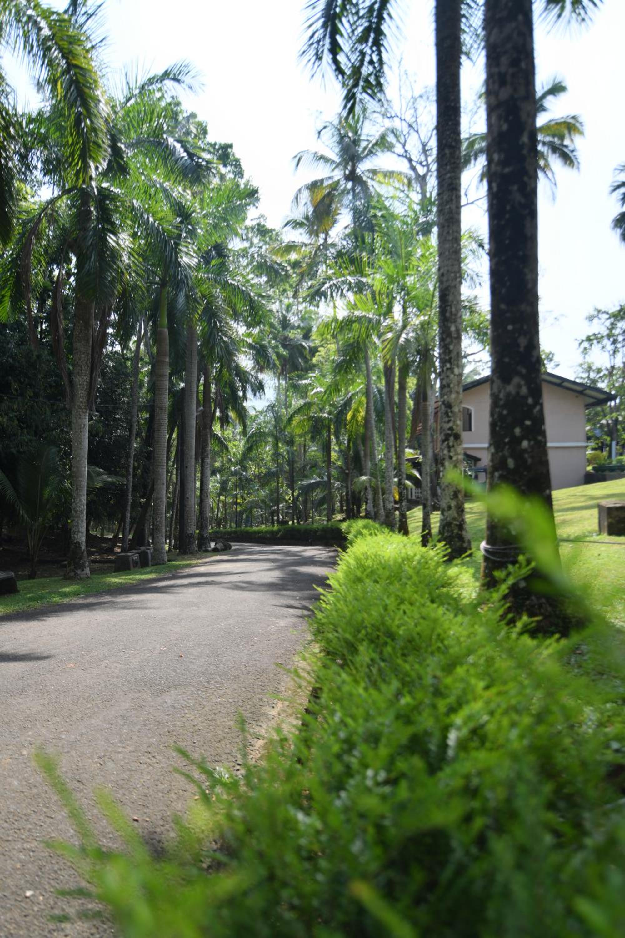 Sankara Resort