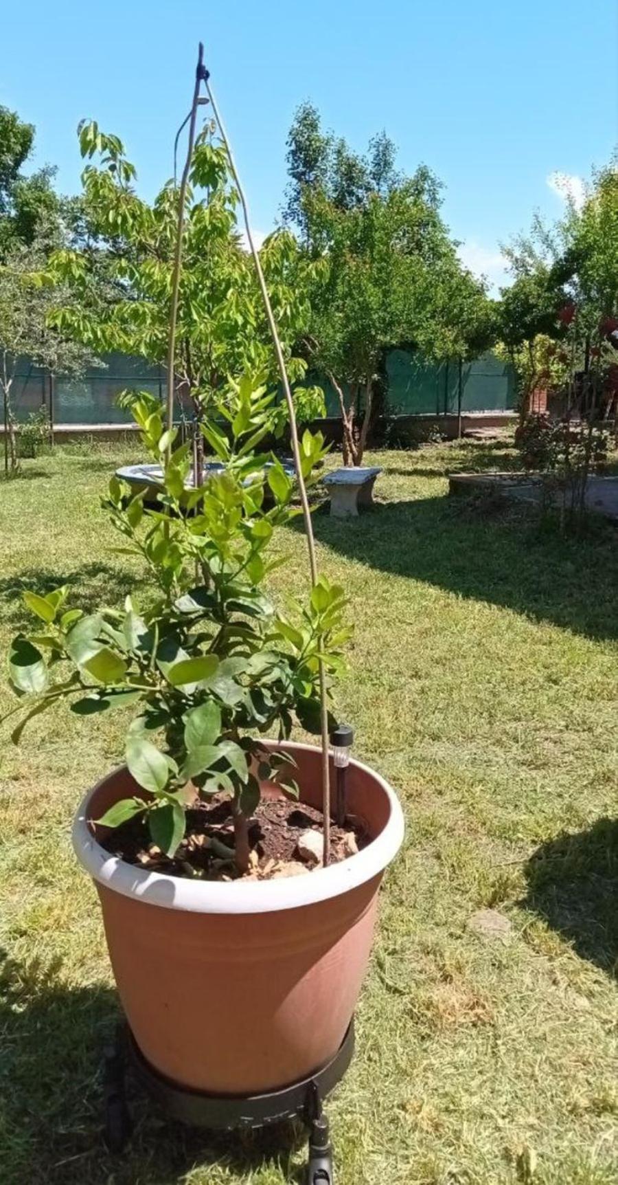 Photo 18