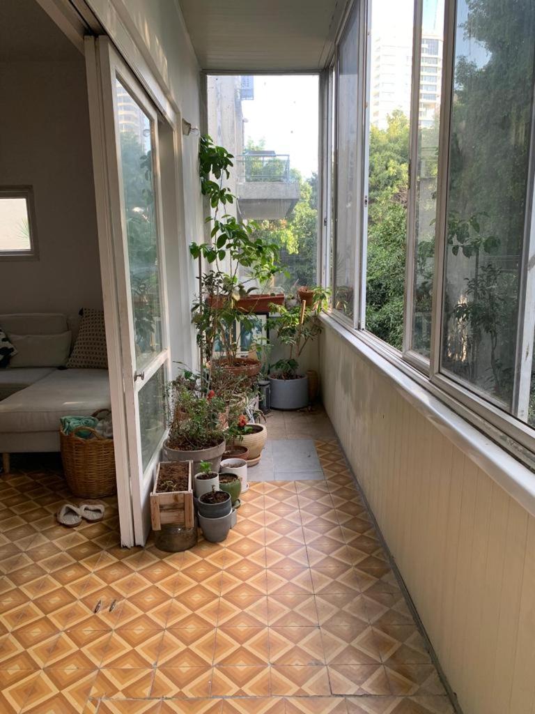Bauhous Apartment