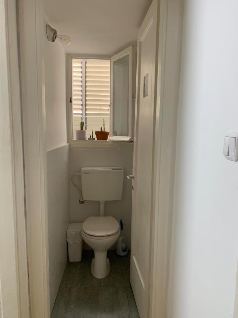 Bauhous Apartment
