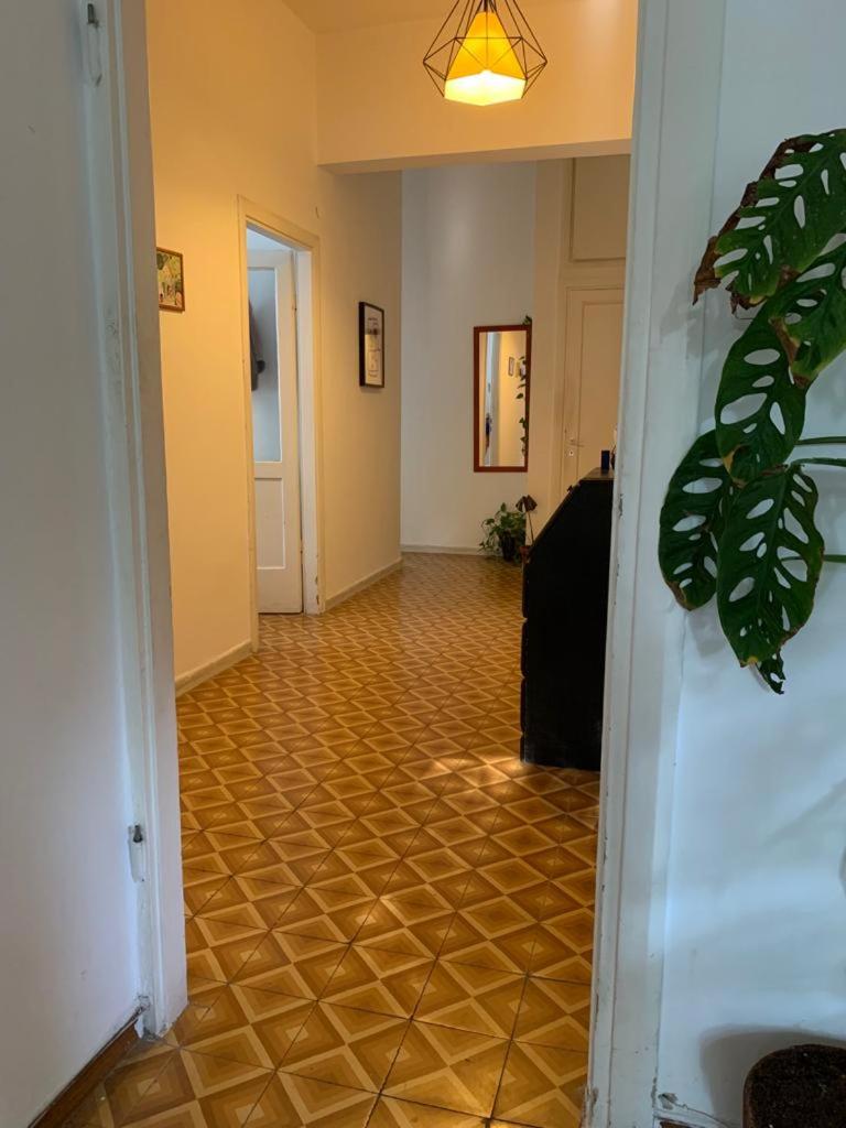 Bauhous Apartment