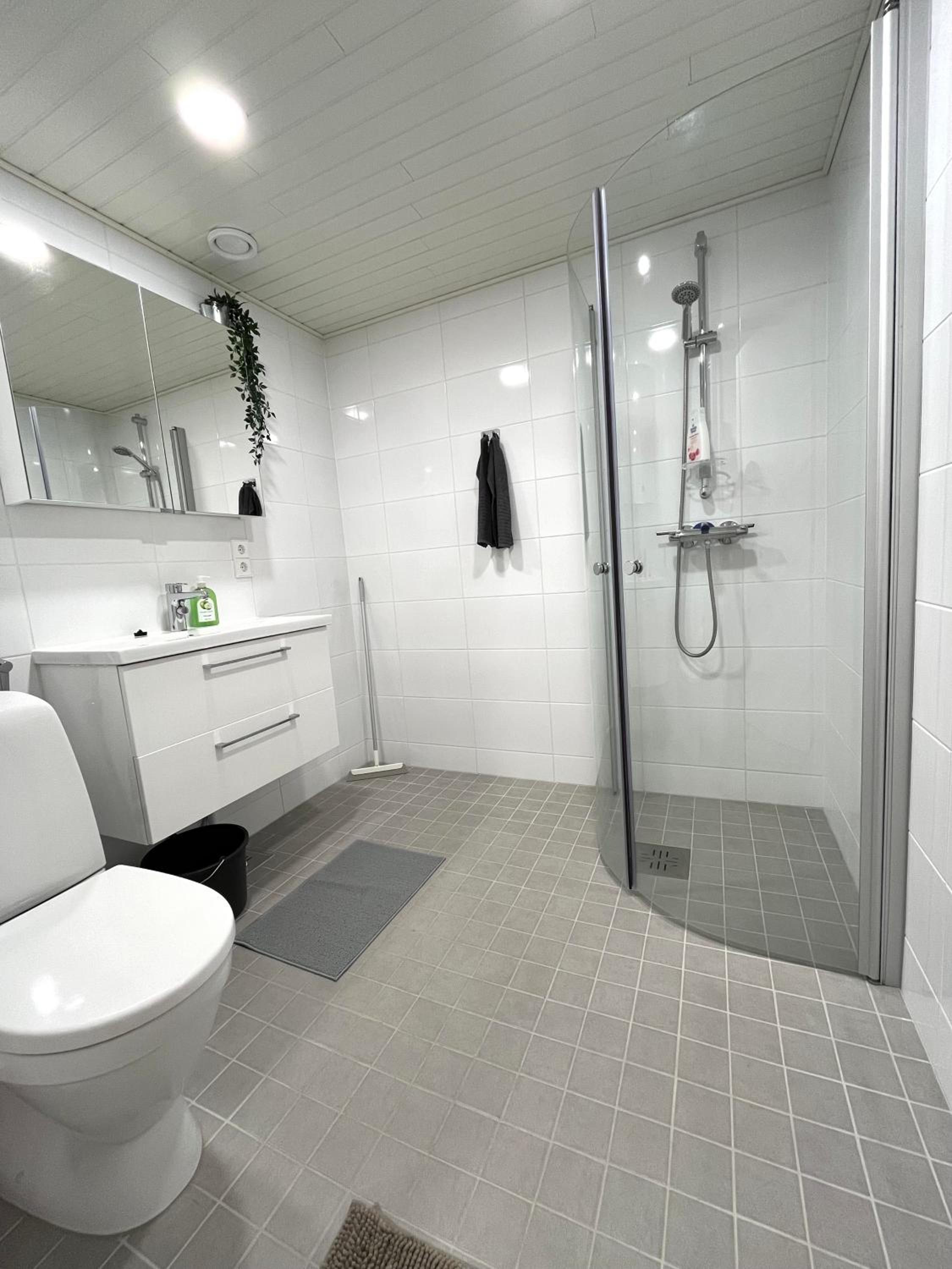 Scandinavian loft 1BR apartment near city centre