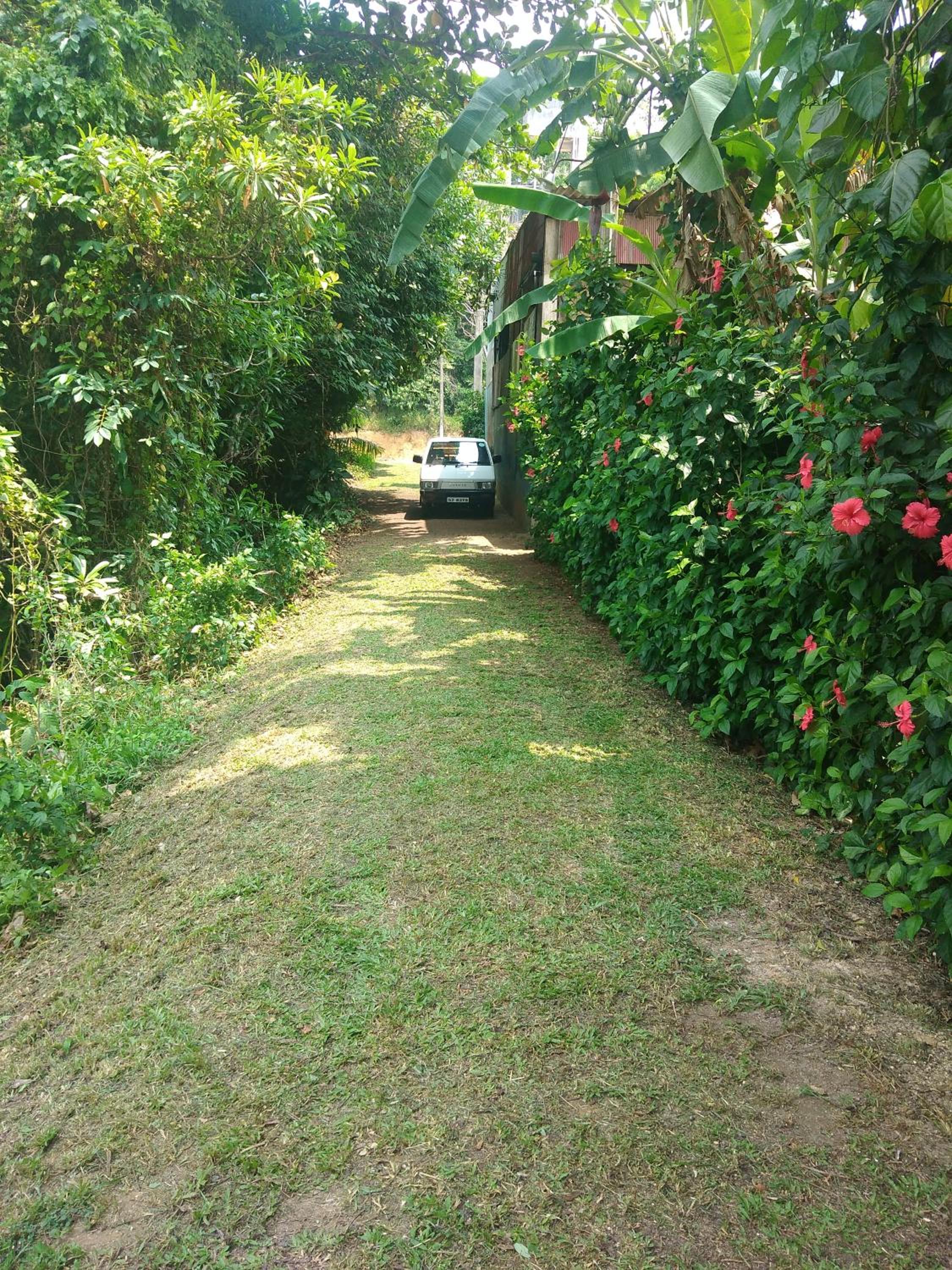 Villa Cinnamon Breeze view 4