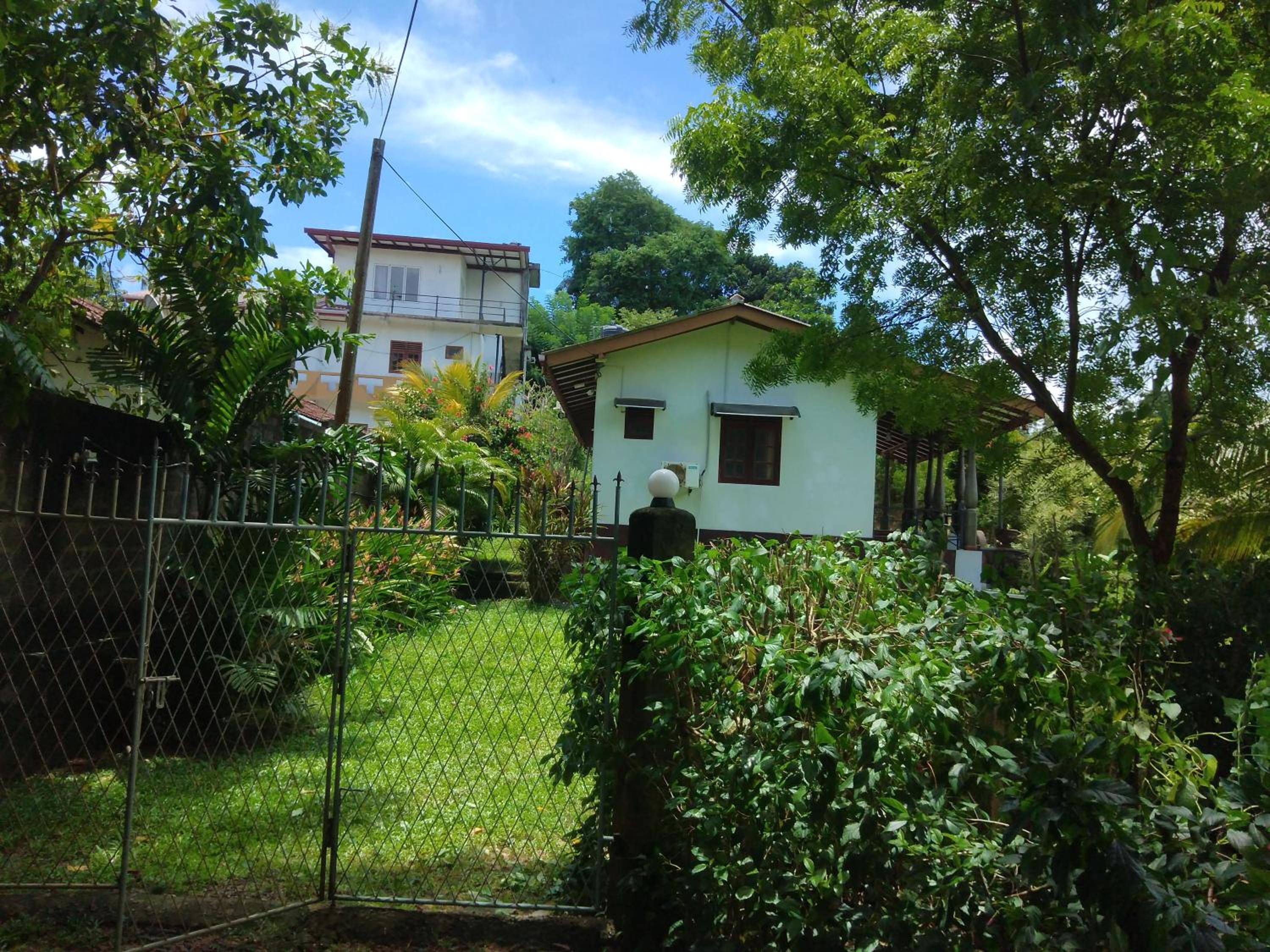 Photo 8