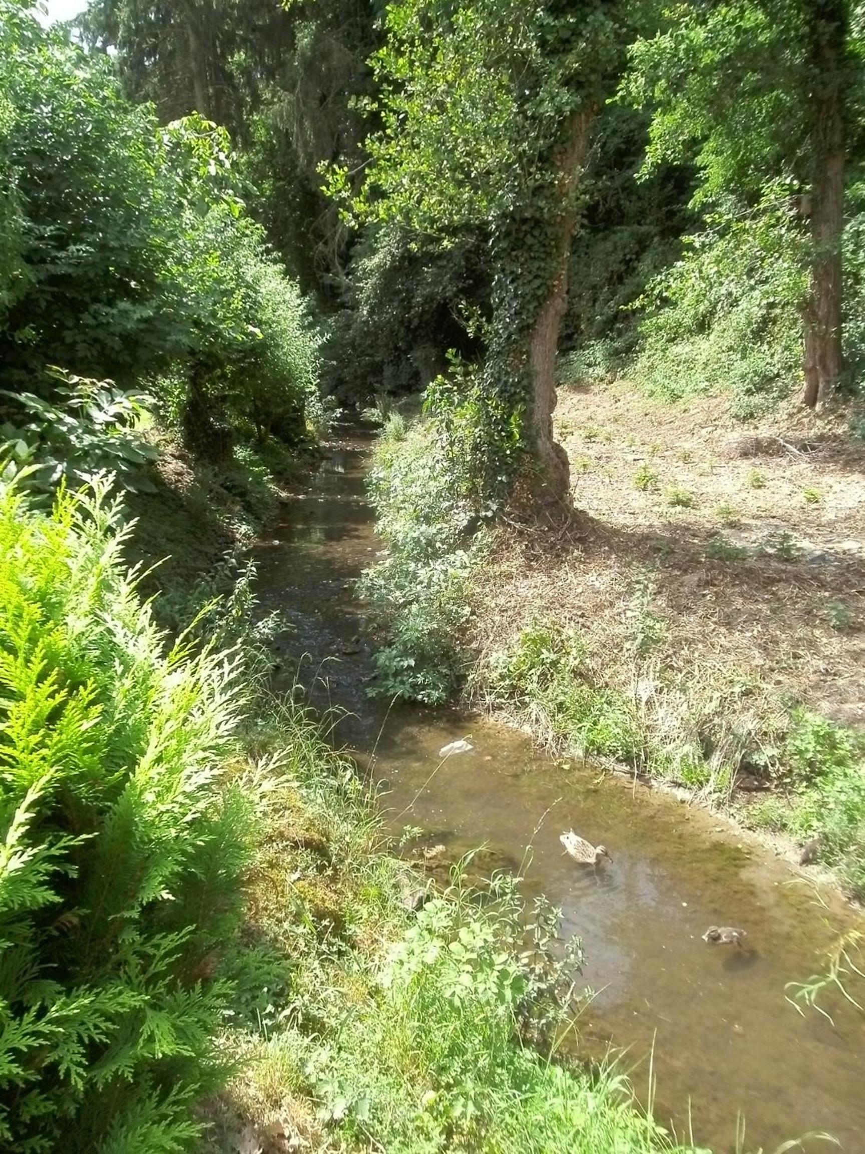 Pension Waldfrieden