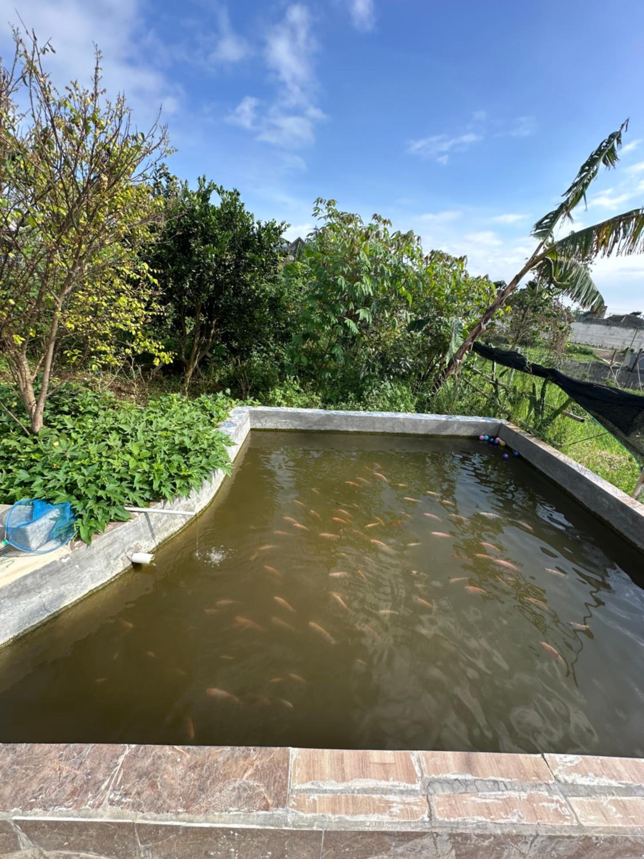 Jason Farm Villa view 5