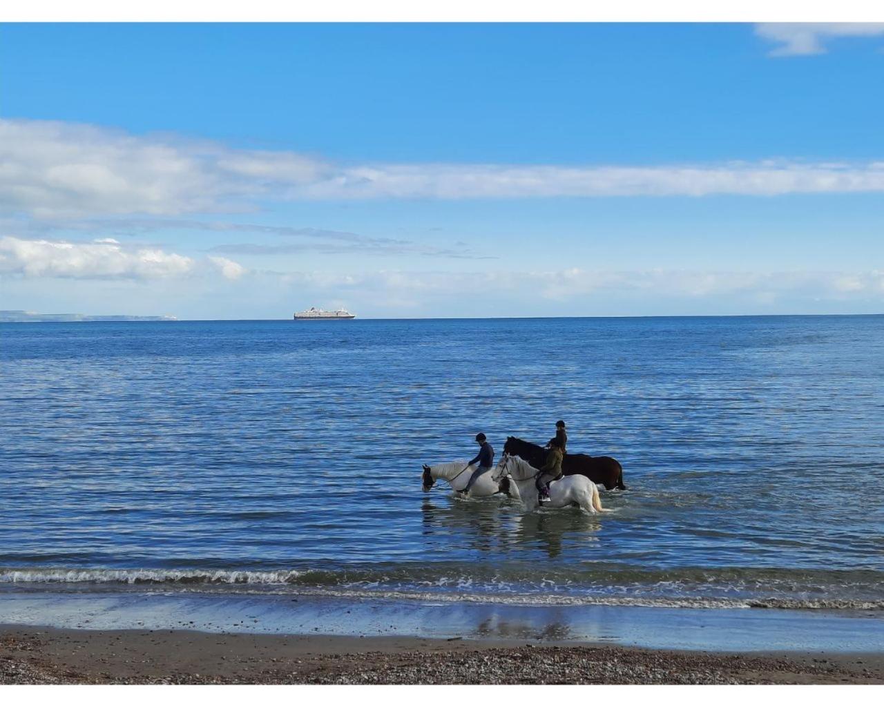 Weymouth Vacations - Penn House Hotel - Property Image 57