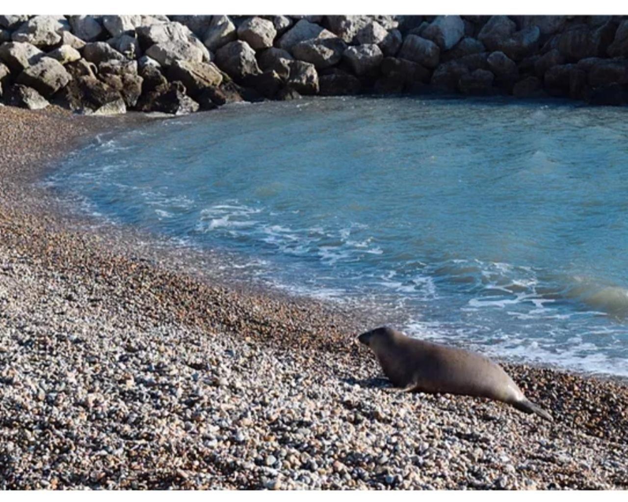 Weymouth Vacations - Penn House Hotel - Property Image 56