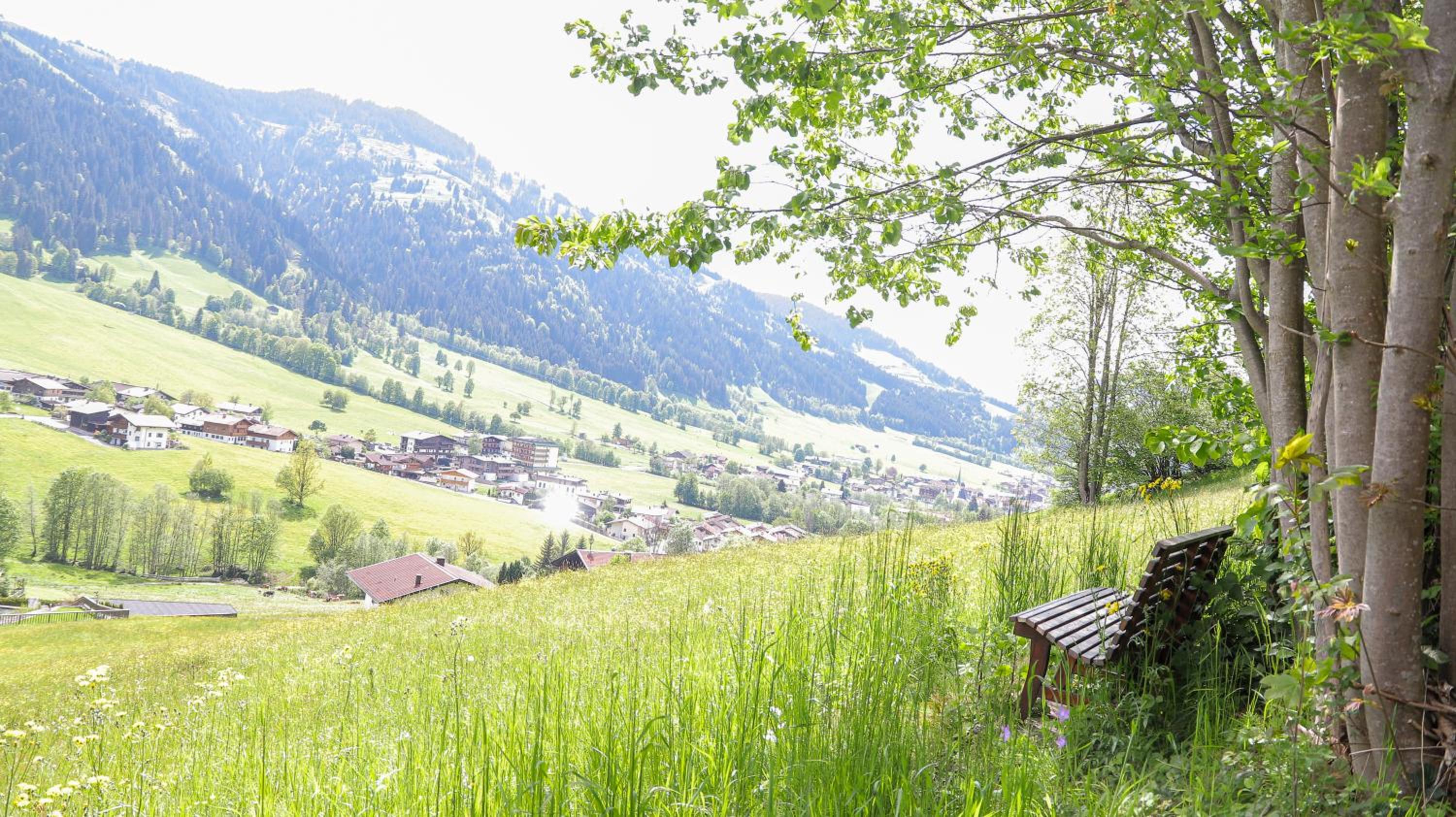 Kitzbüheler-Alpen Chalet
