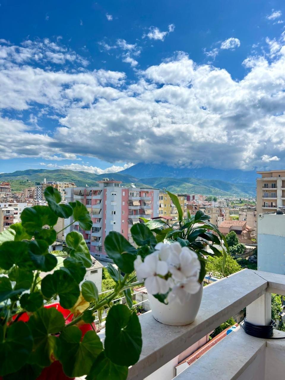Contemporary & Cozy Apartment Berat