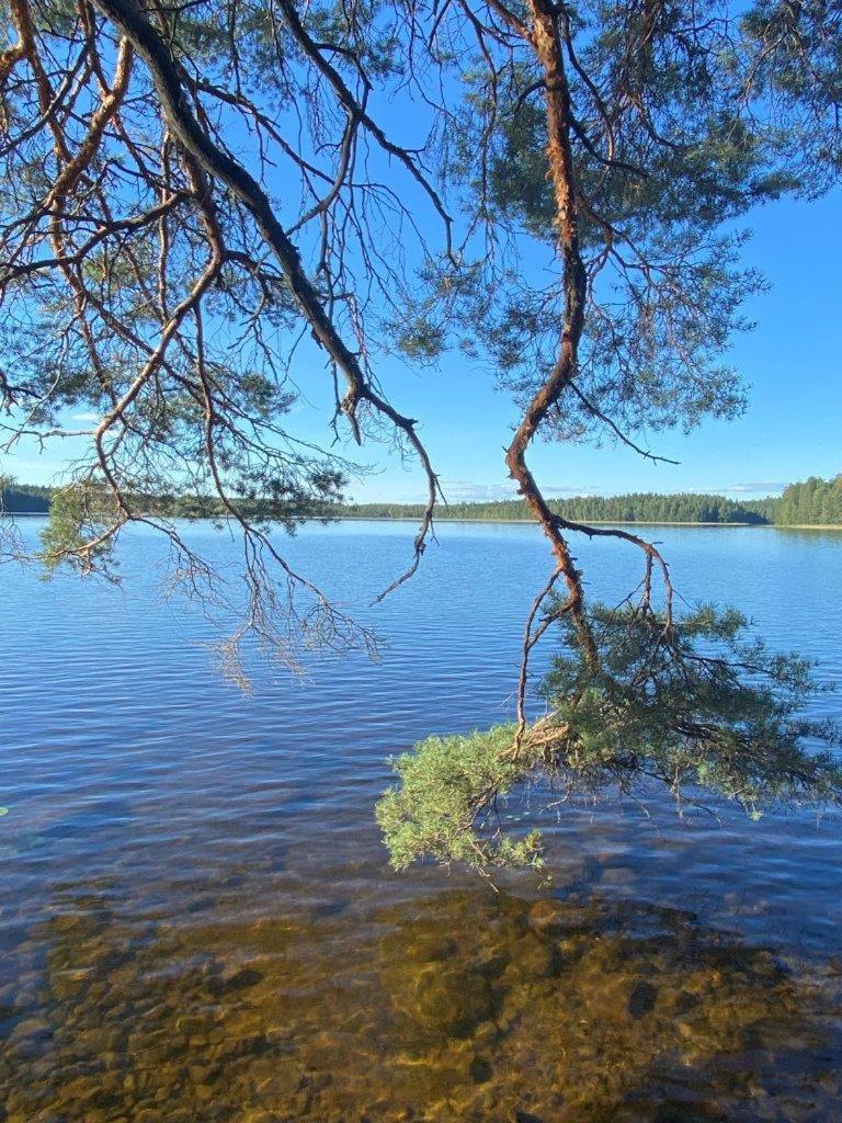 Ahoniemi - Kellankoski