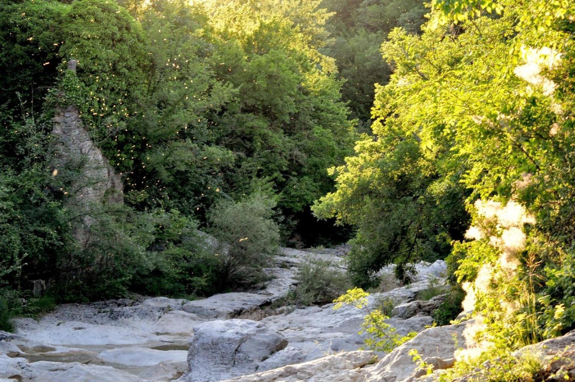 Ferienhaus für 4 Personen in Kotli, Istrien