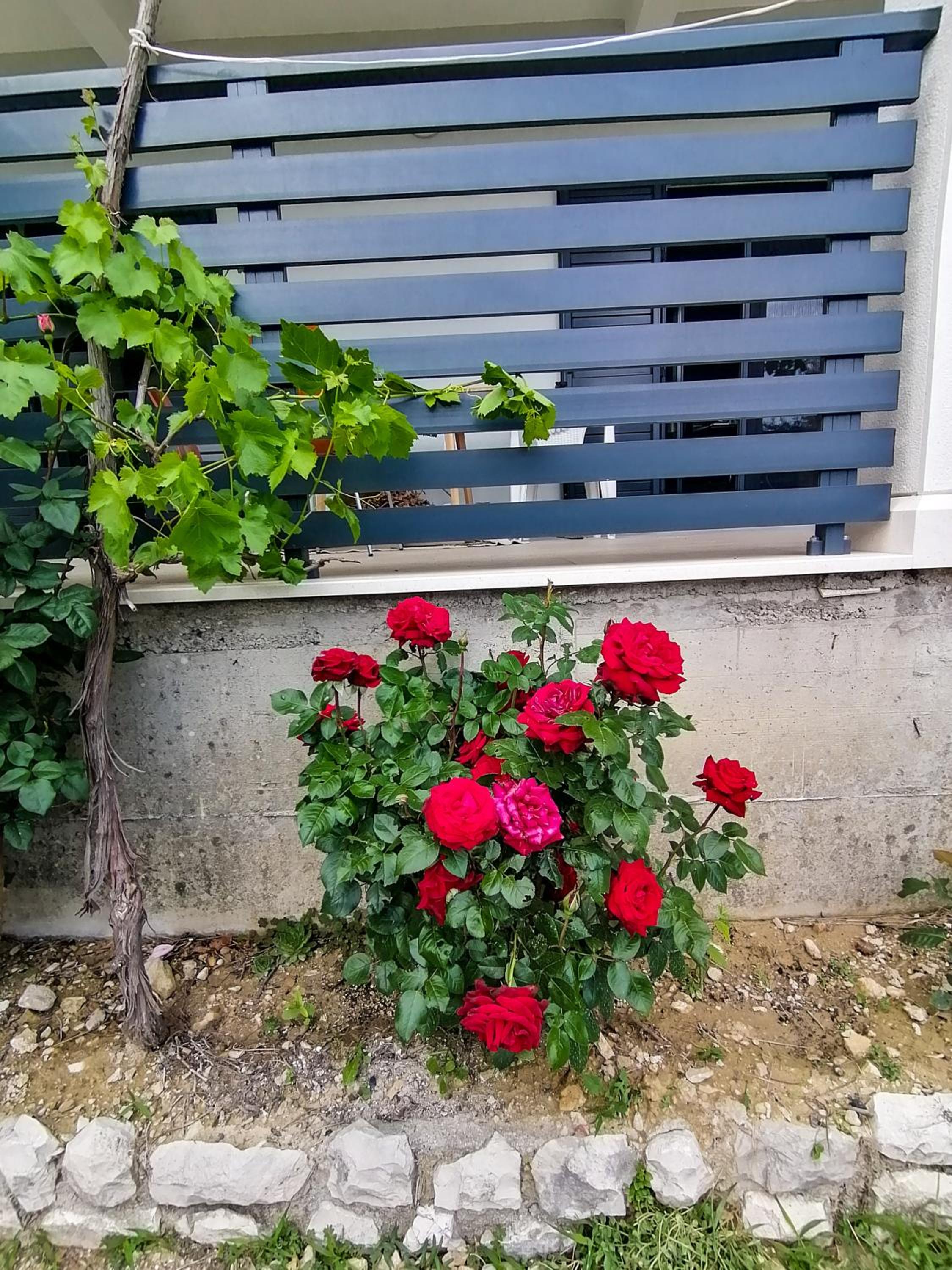 Photo 34