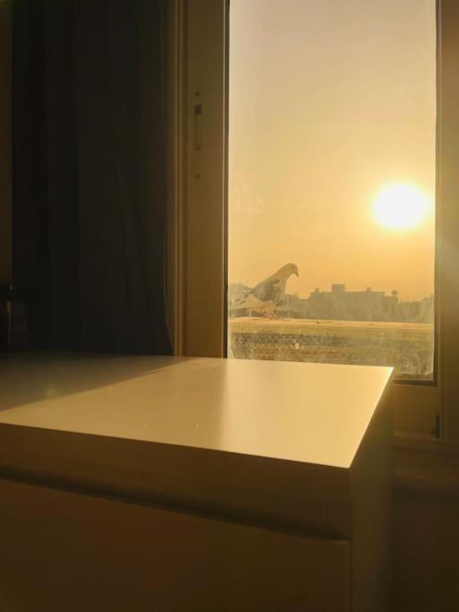 Comfortable Sunny apart 16 mins from Airport