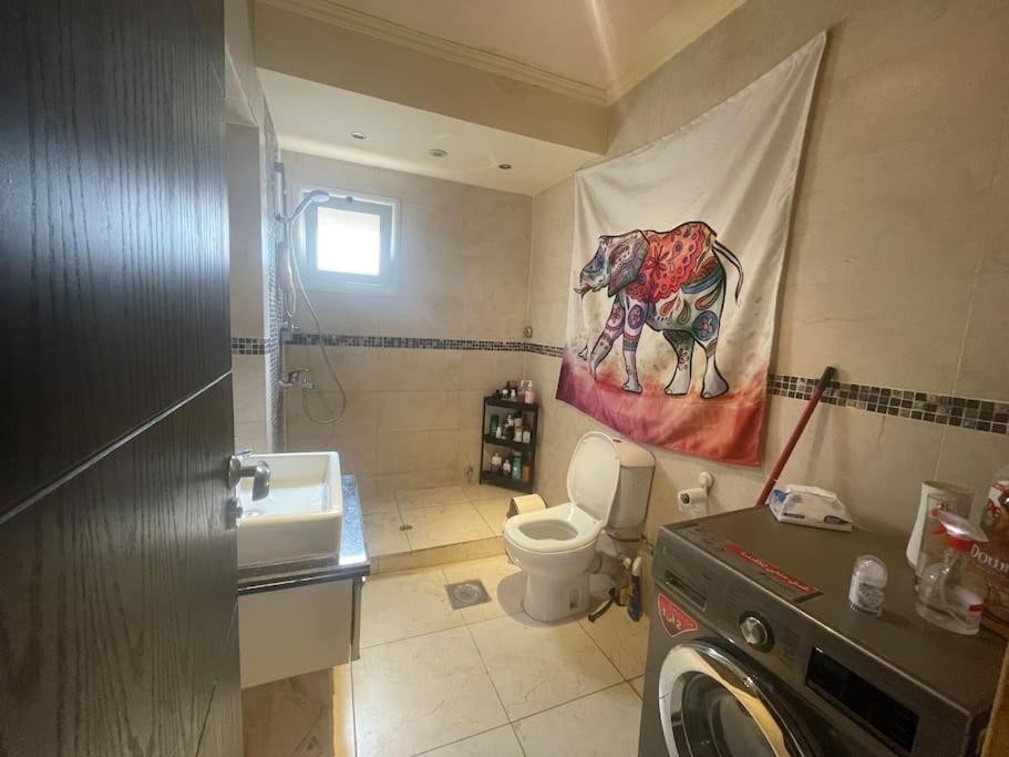 Comfortable Sunny apart 16 mins from Airport