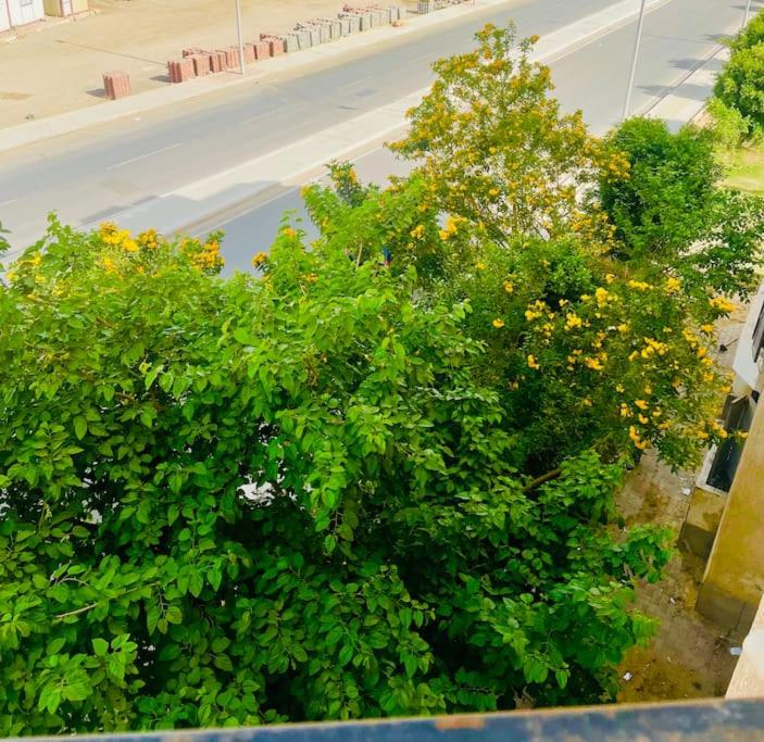 Comfortable Sunny apart 16 mins from Airport